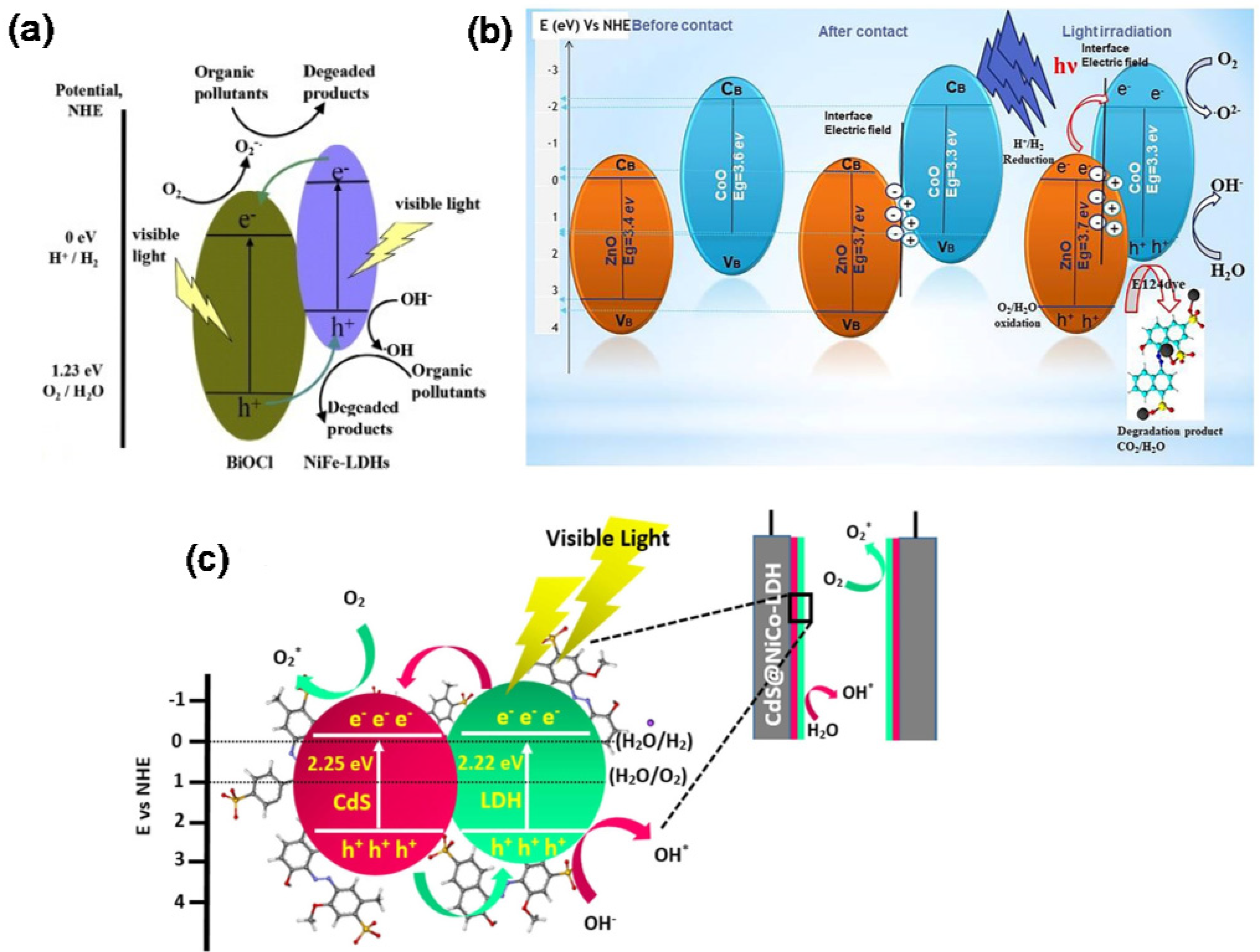 Z-scheme CoAl-layered double hydroxide/indium vanadate heterojunction for  enhanced and highly selective photocatalytic reduction of carbon dioxide to  carbon monoxide - ScienceDirect