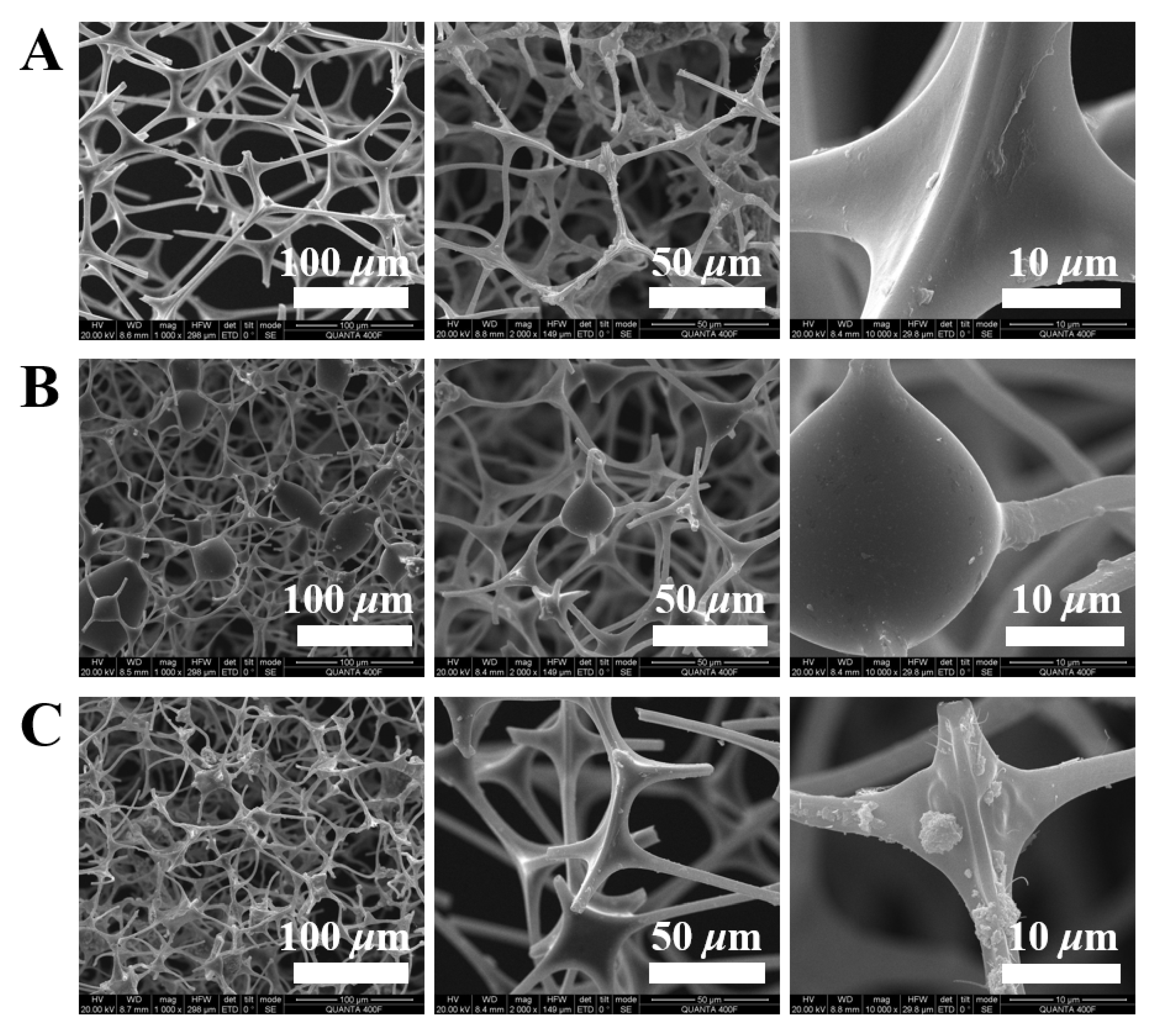 Nanomaterials 12 03527 g002