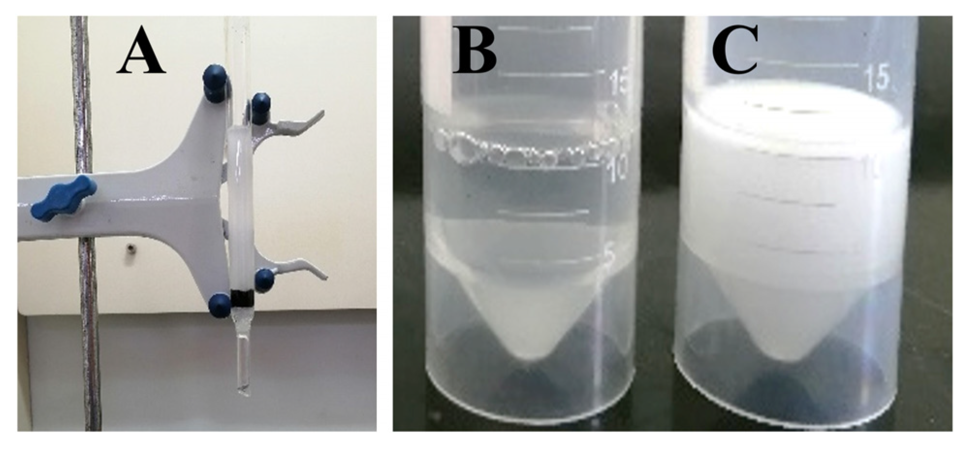 Nanomaterials 12 03527 g010