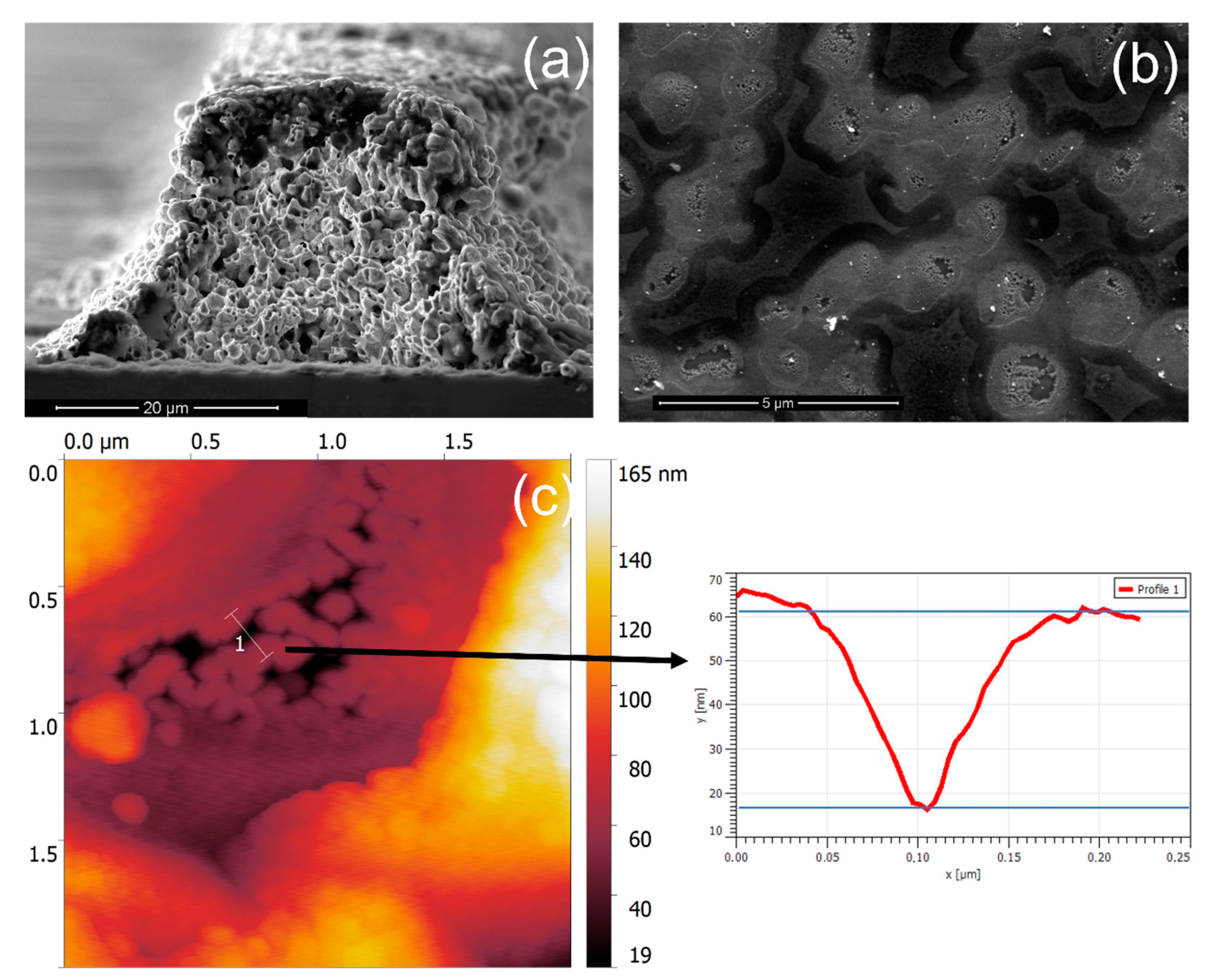 Nanomaterials 12 03554 g007