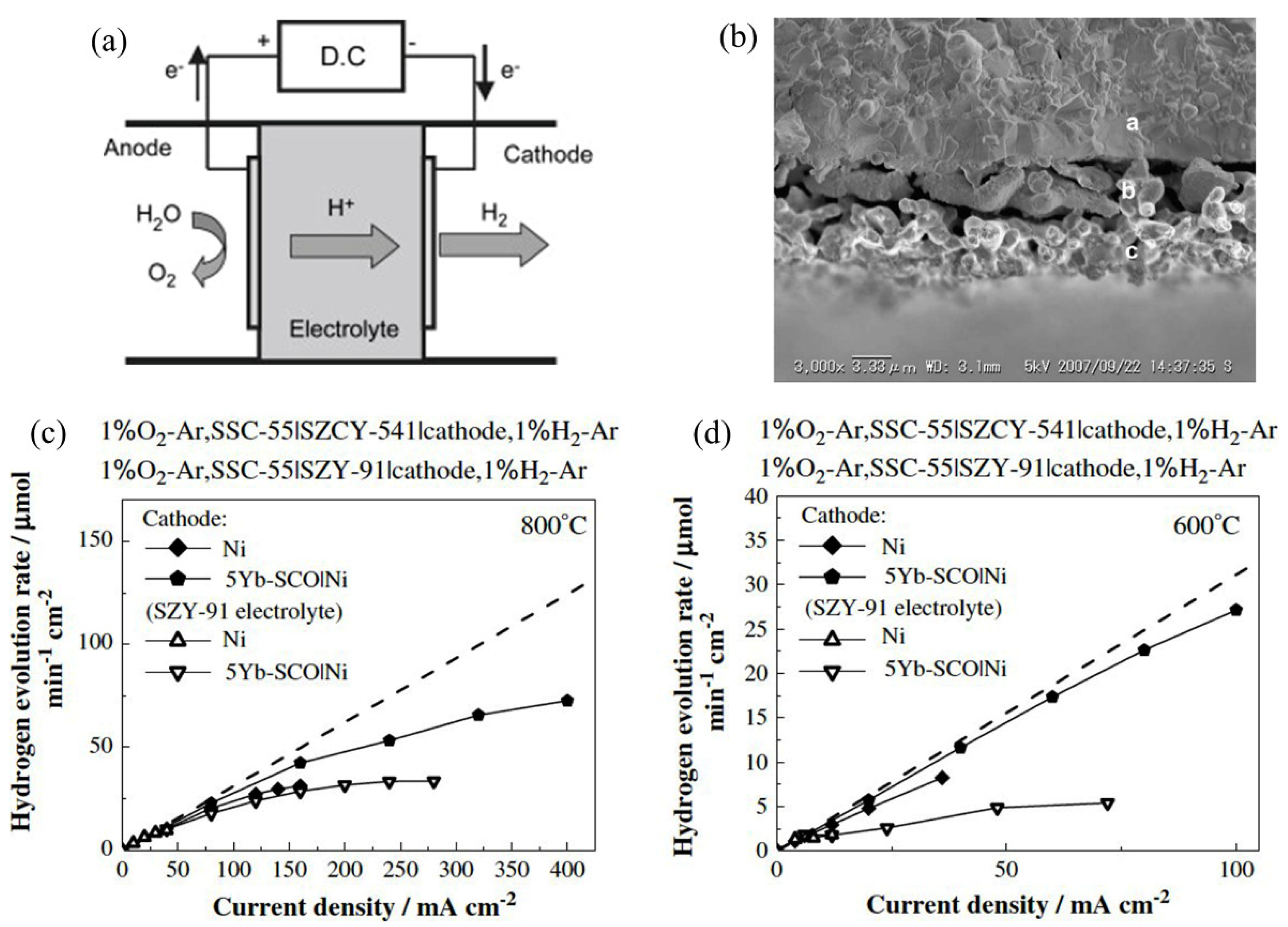 Nanomaterials 12 03581 g011 Nanomaterials 12 03581 g011