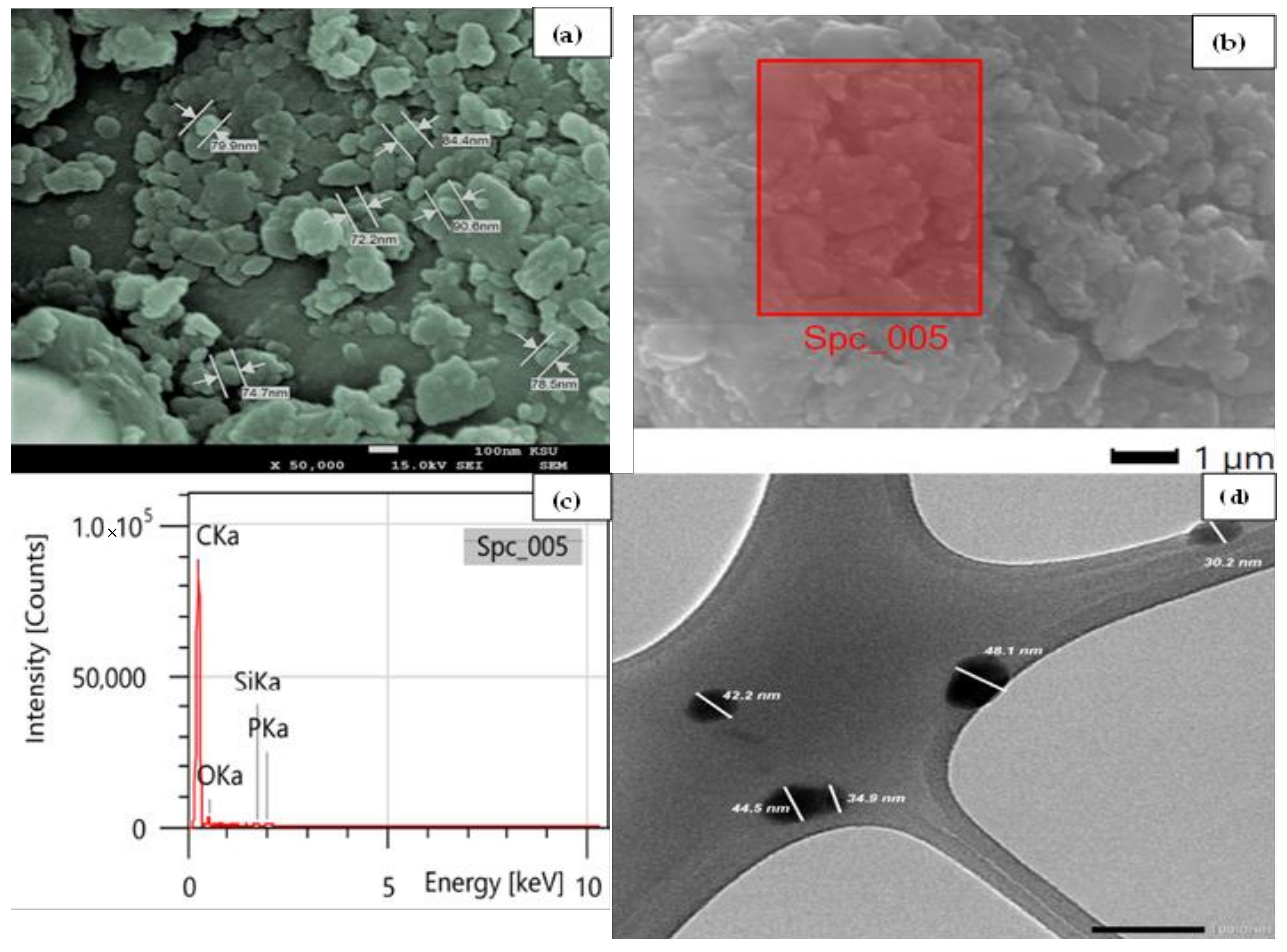 Nanomaterials 12 03617 g001