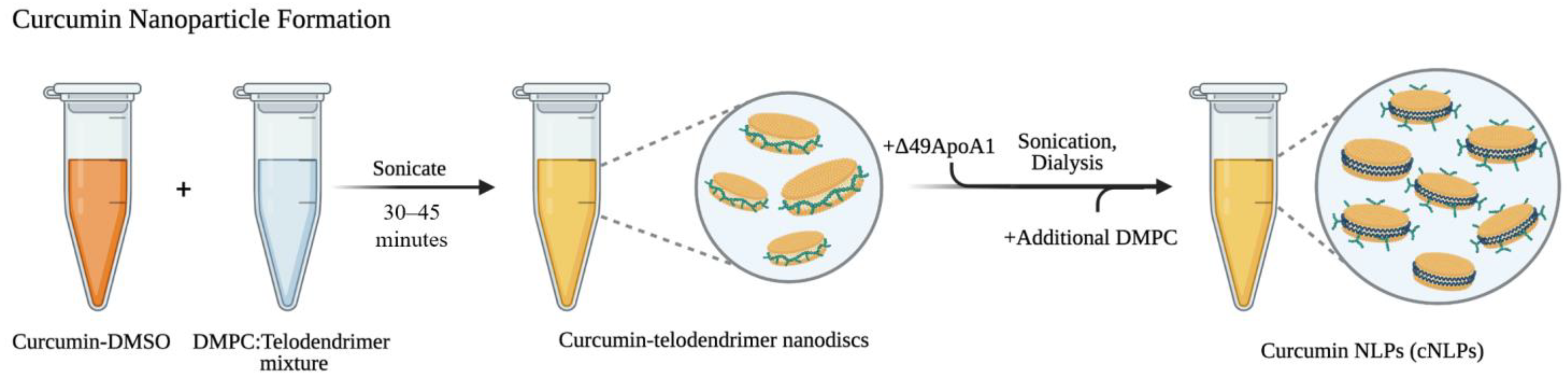 Nanomaterials 12 03619 g001