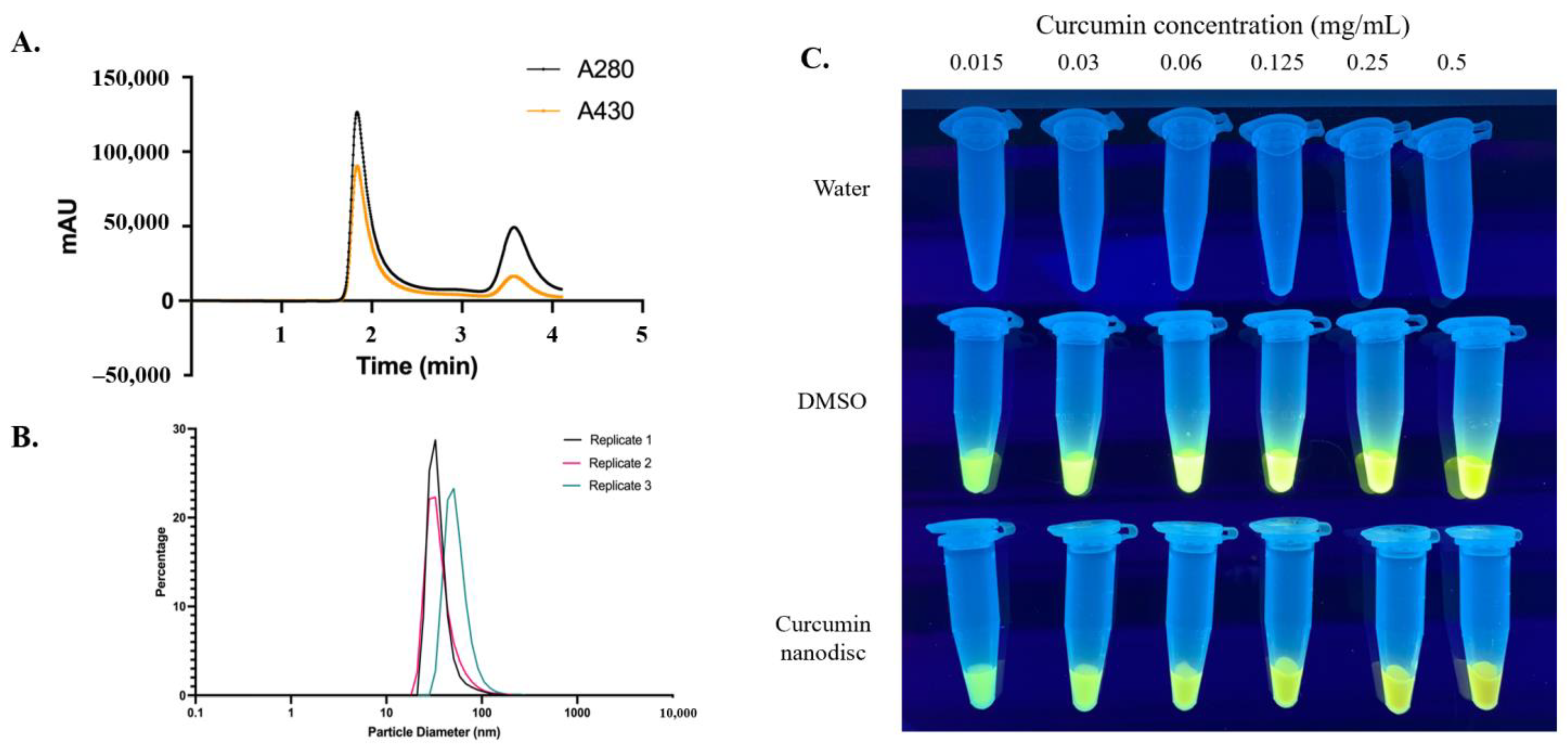 Nanomaterials 12 03619 g002
