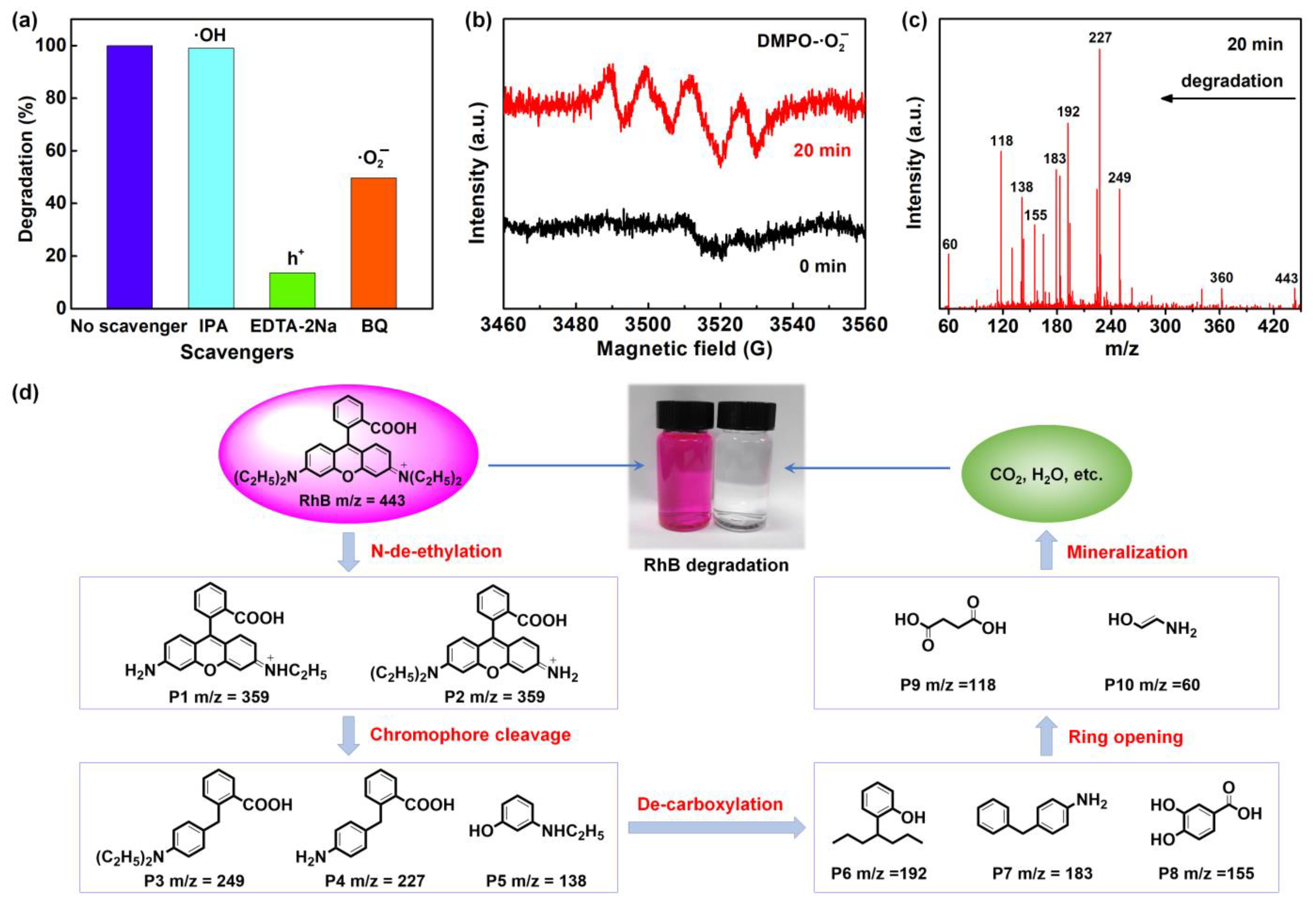 Nanomaterials 12 03631 g007 Nanomaterials 12 03631 g007
