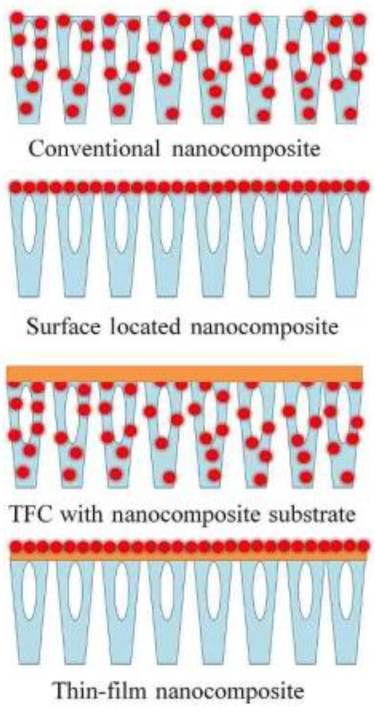 Nanomaterials 12 03637 g001