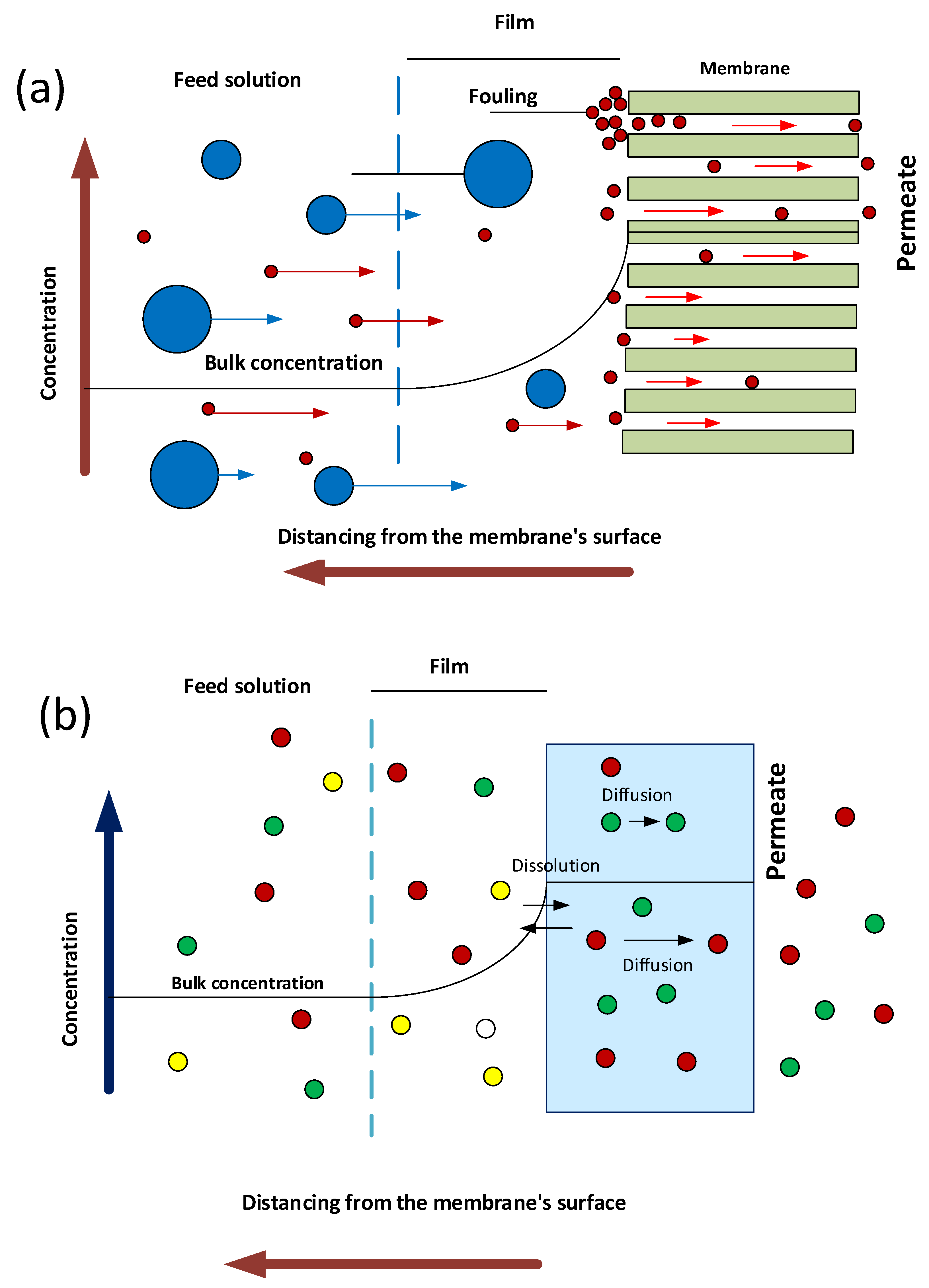 Nanomaterials 12 03637 g008
