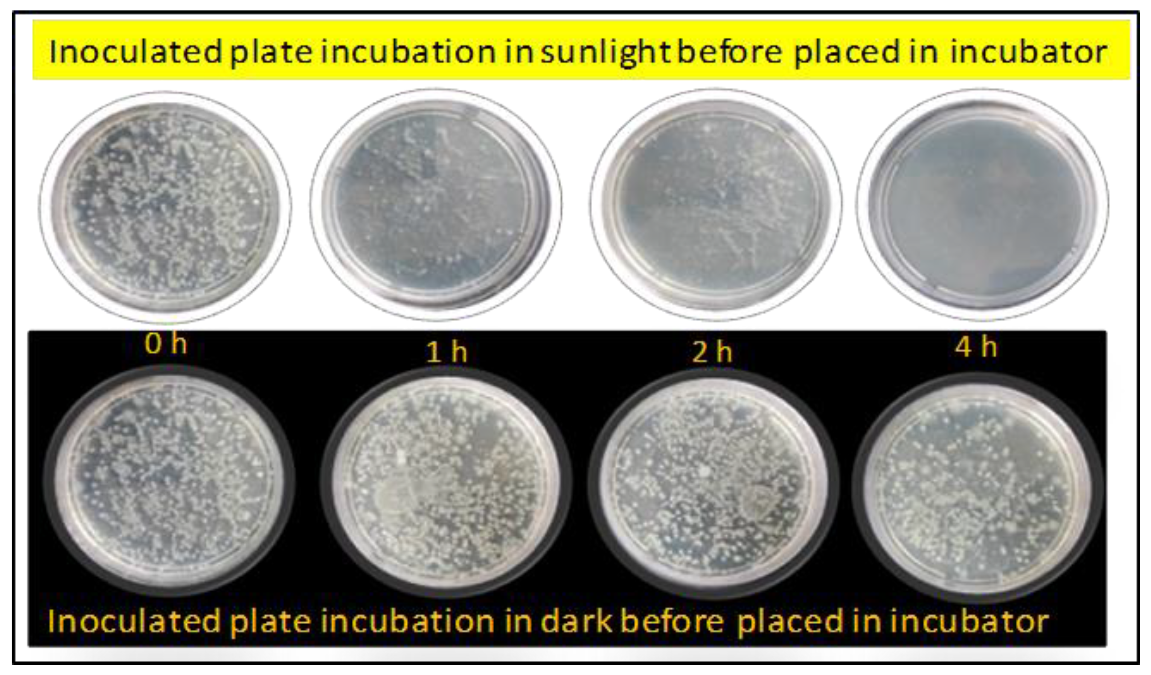 Nanomaterials 12 03642 g013 Nanomaterials 12 03642 g013
