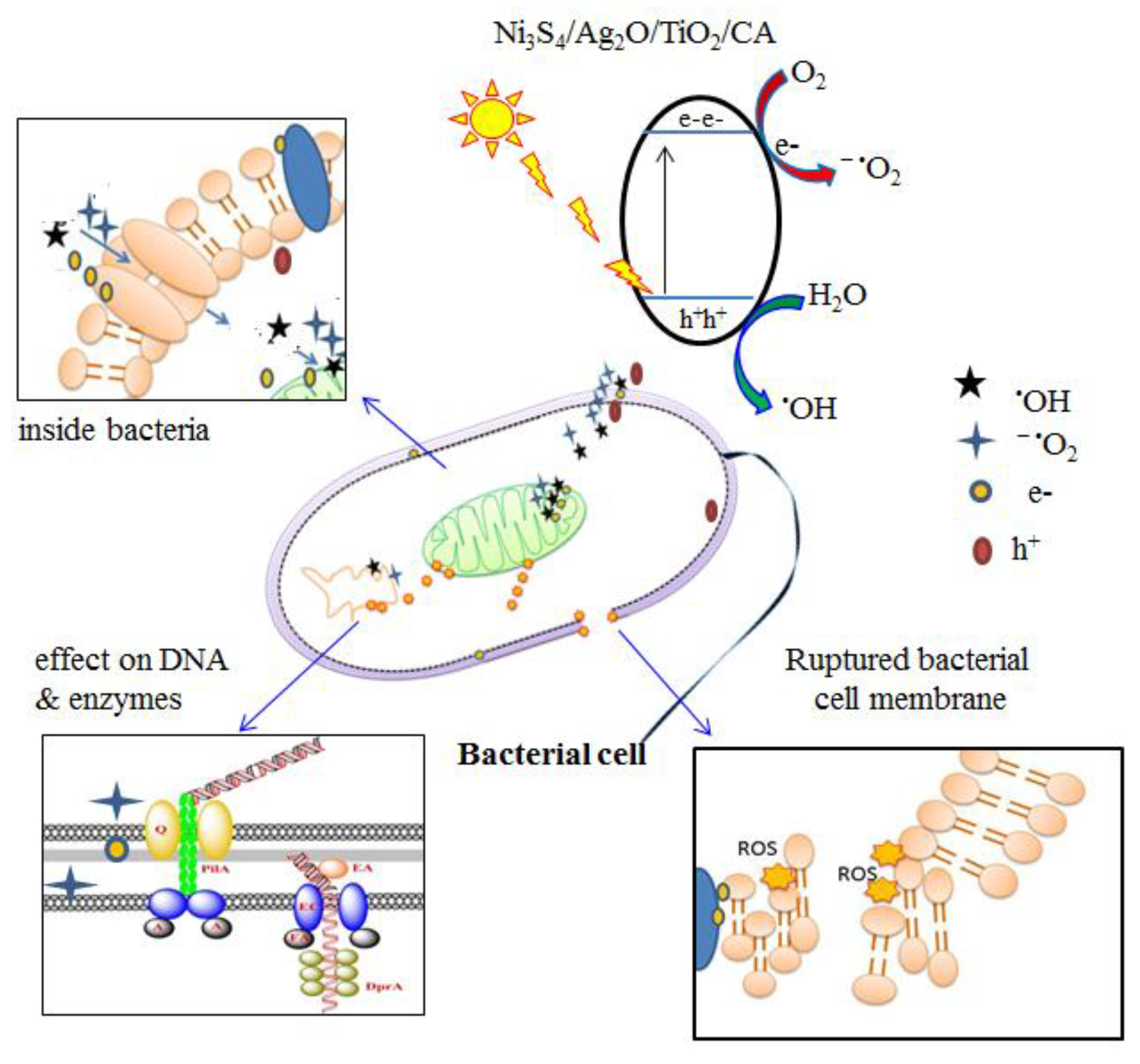 Nanomaterials 12 03642 g015 Nanomaterials 12 03642 g015