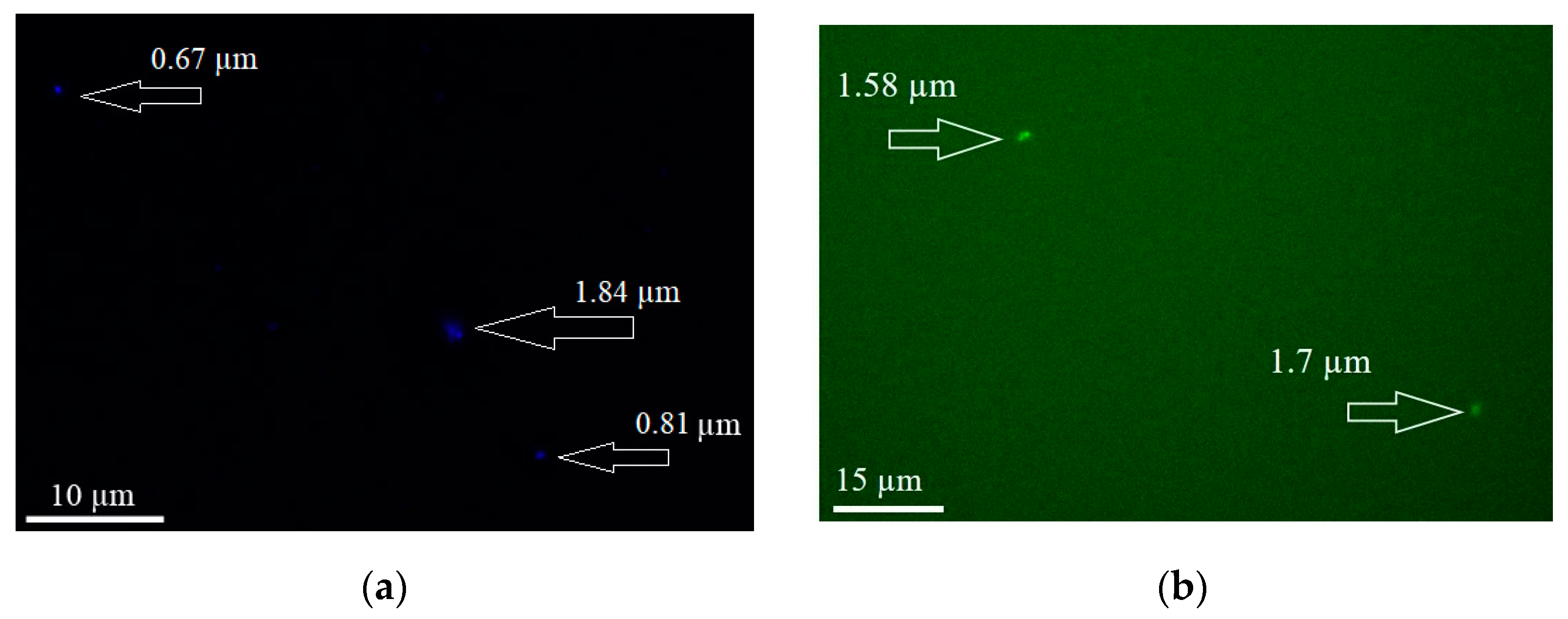 Nanomaterials 12 03645 g005 Nanomaterials 12 03645 g005