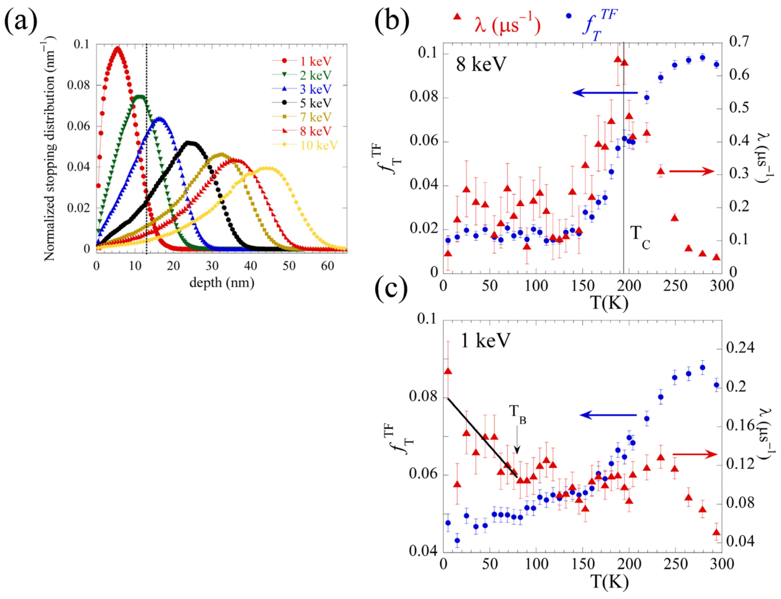 Nanomaterials 12 03646 g006