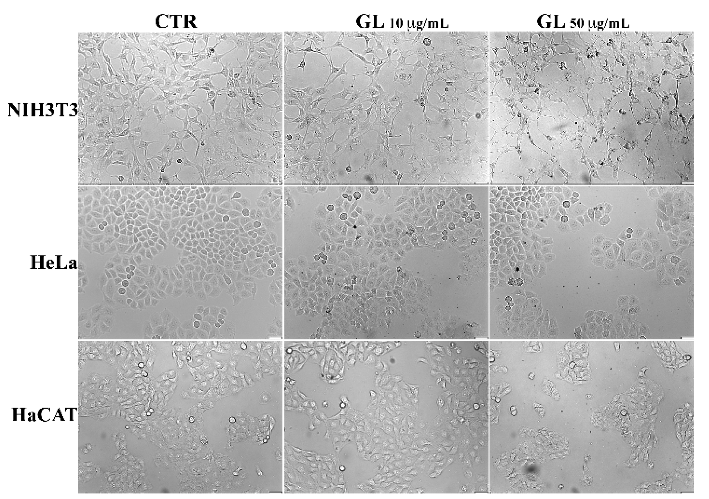 Nanomaterials 12 03663 g006
