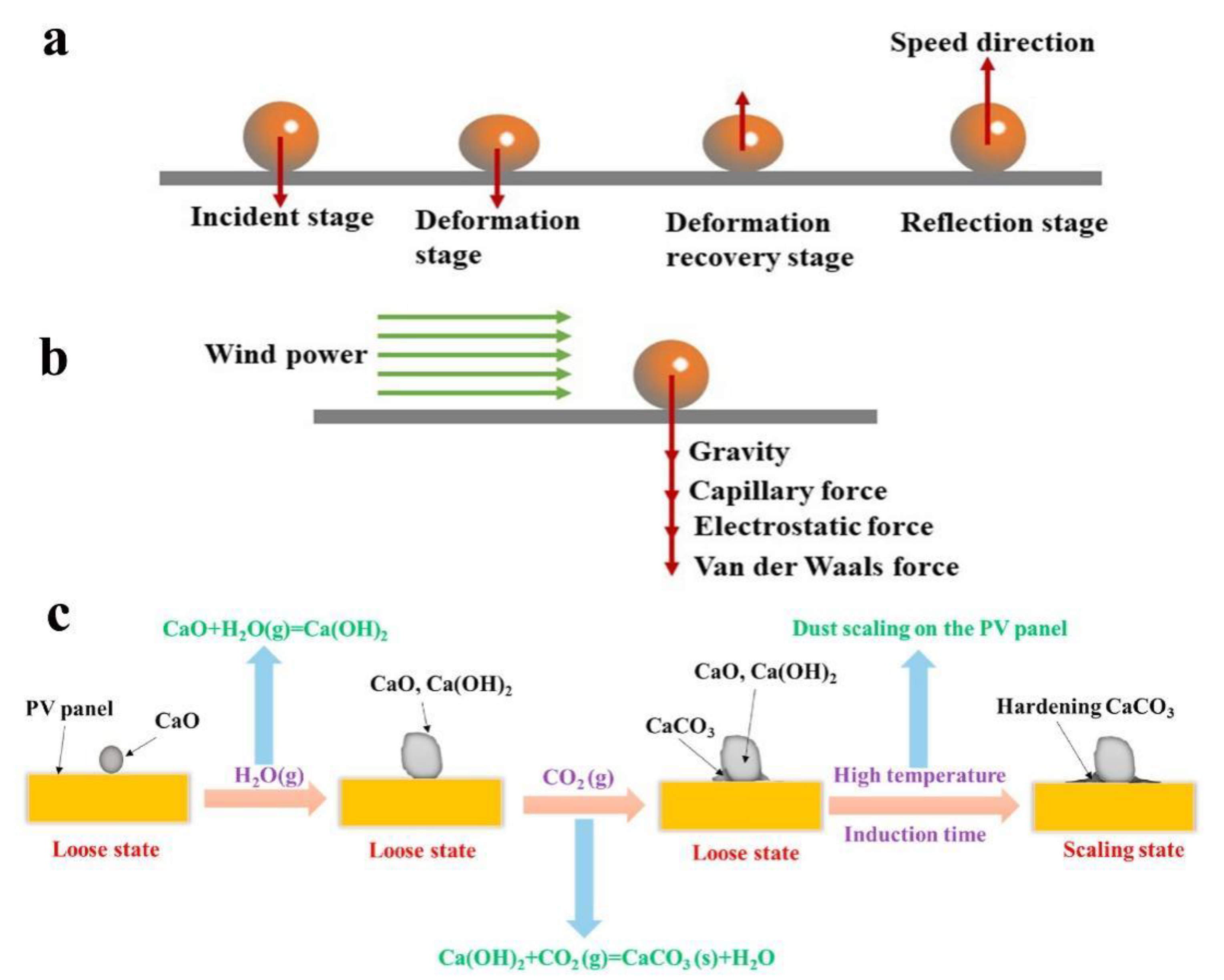 Nanomaterials 12 03677 g003