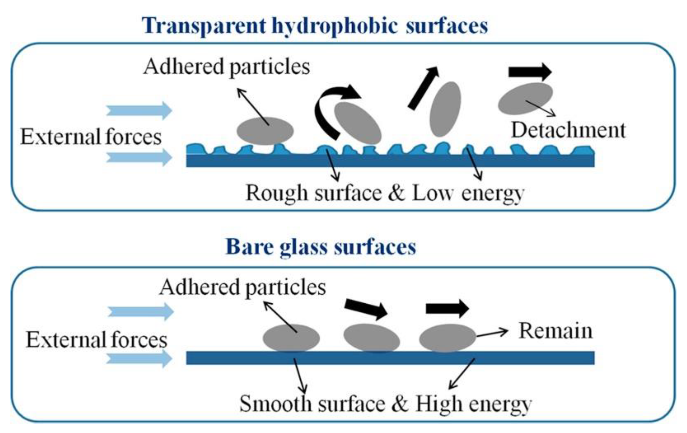 Nanomaterials 12 03677 g004
