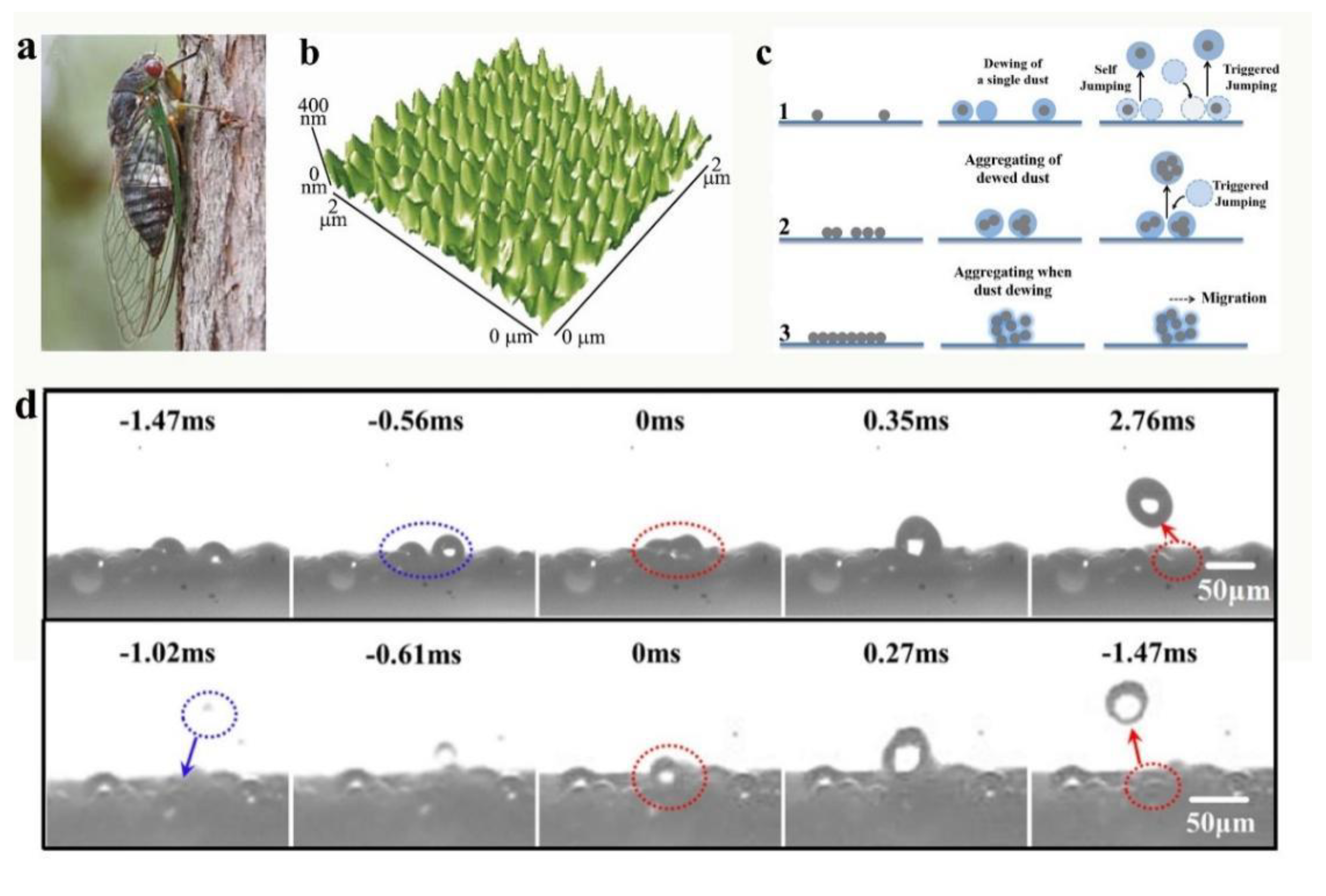 Nanomaterials 12 03677 g013