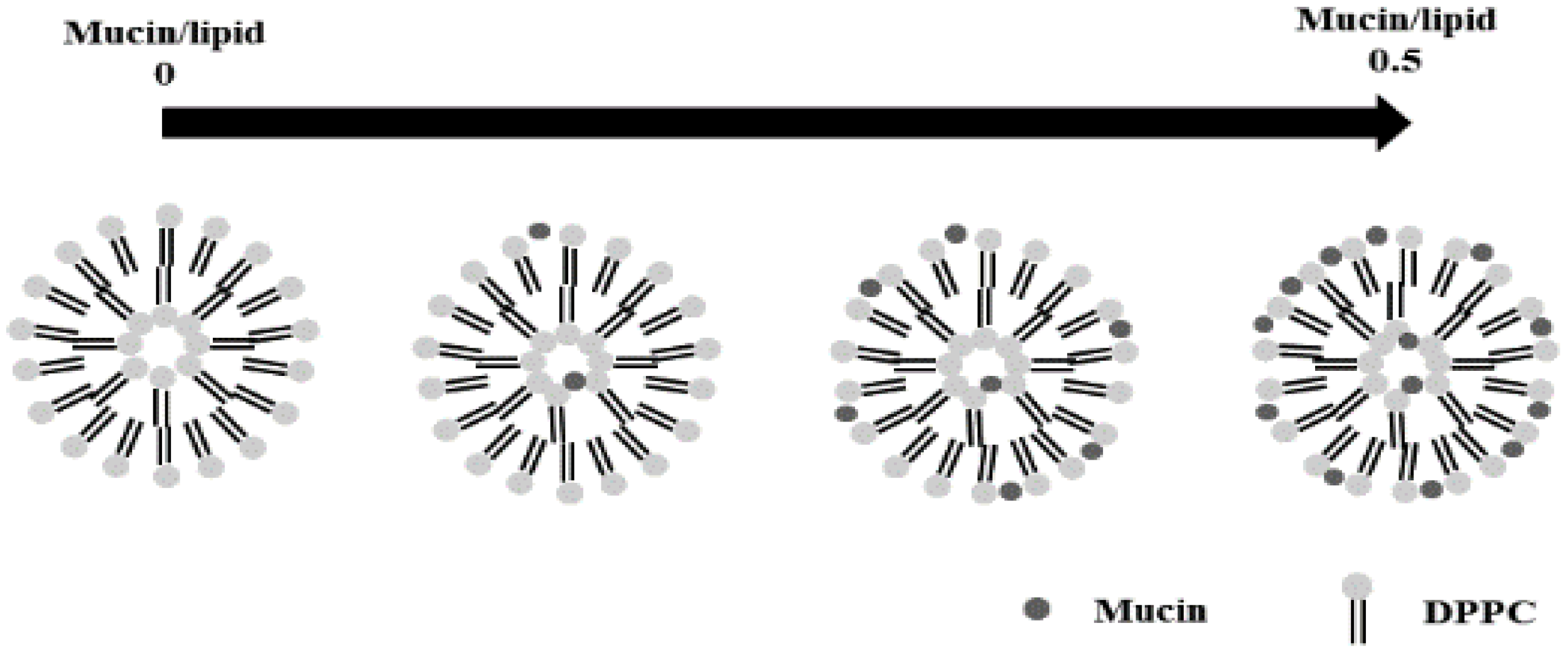Nanomaterials 12 03683 g001