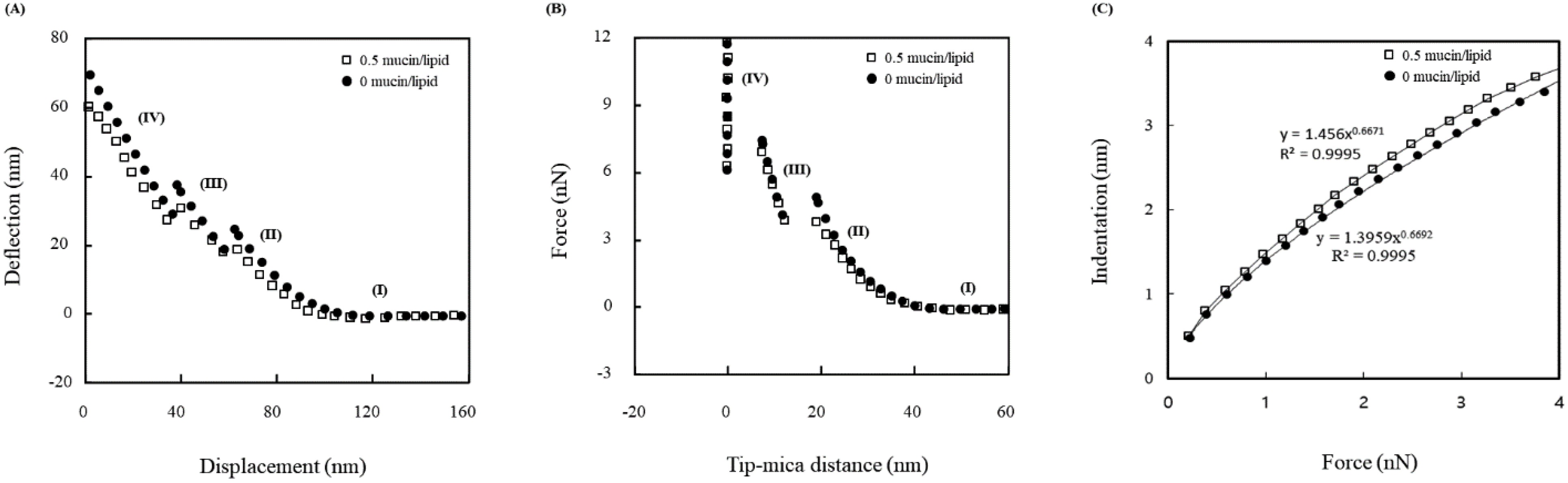 Nanomaterials 12 03683 g003