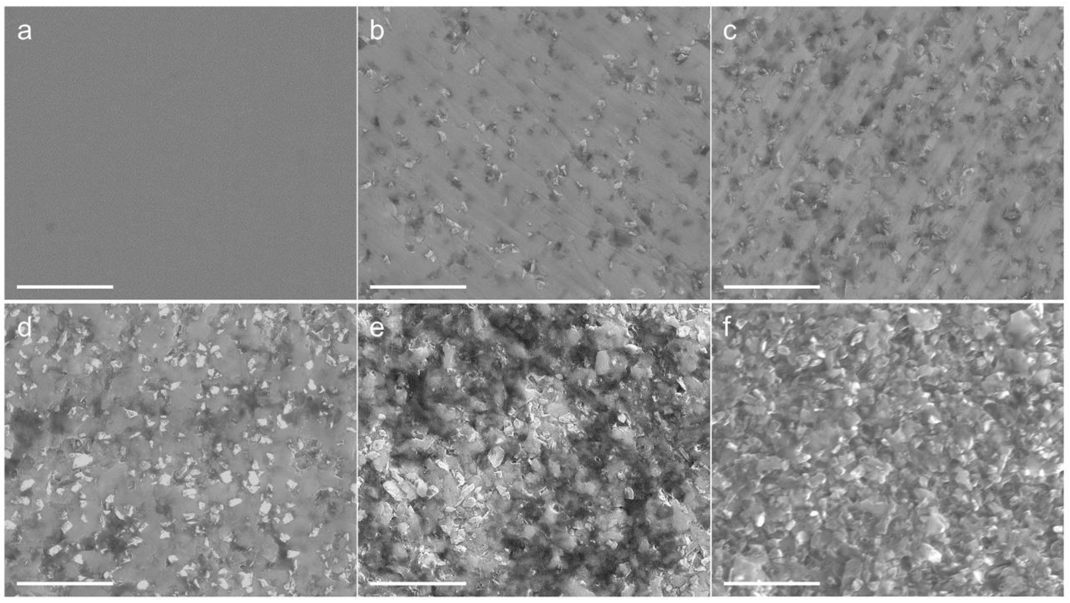 Nanomaterials 12 03733 g003
