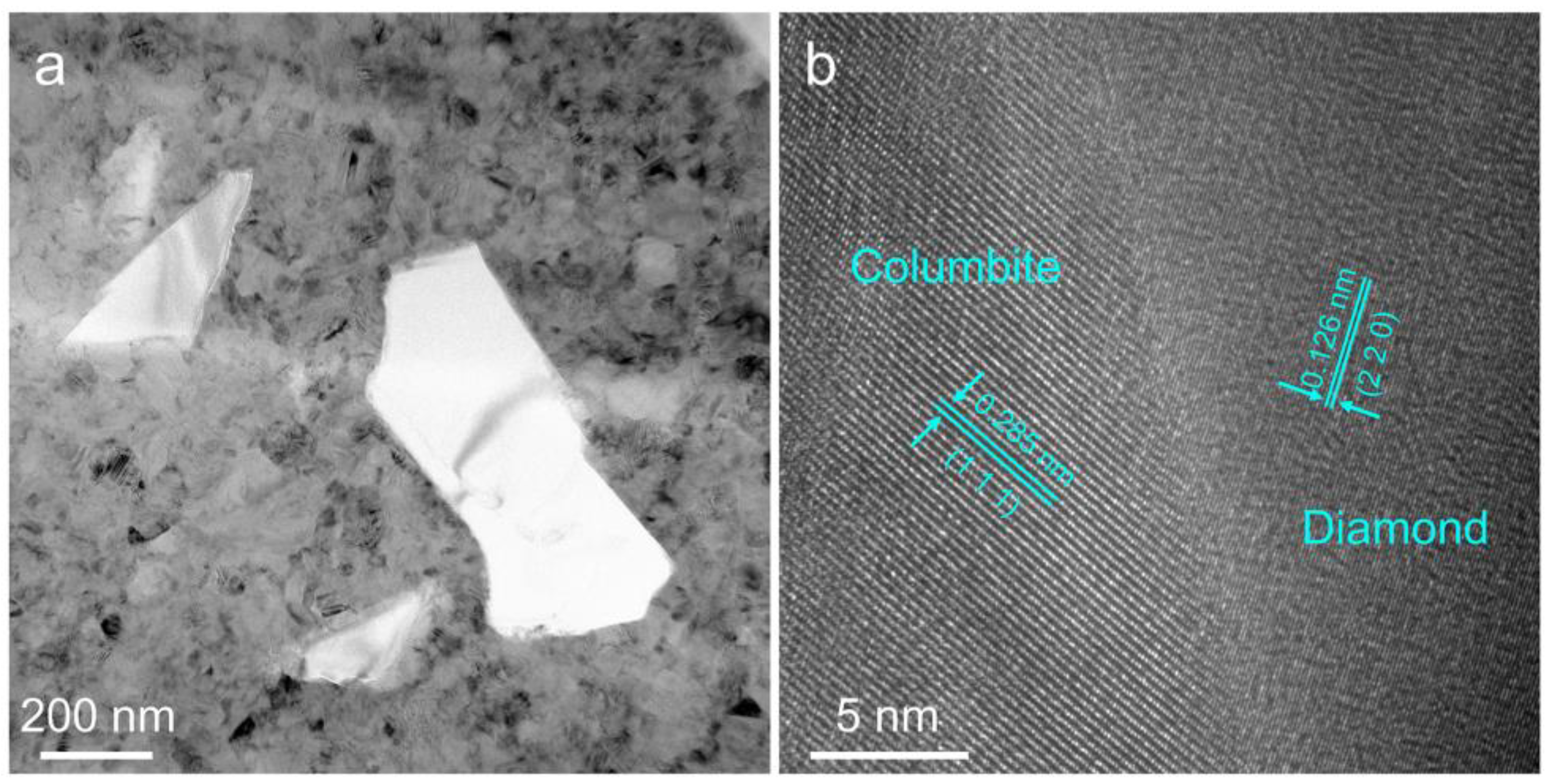 Nanomaterials 12 03733 g005