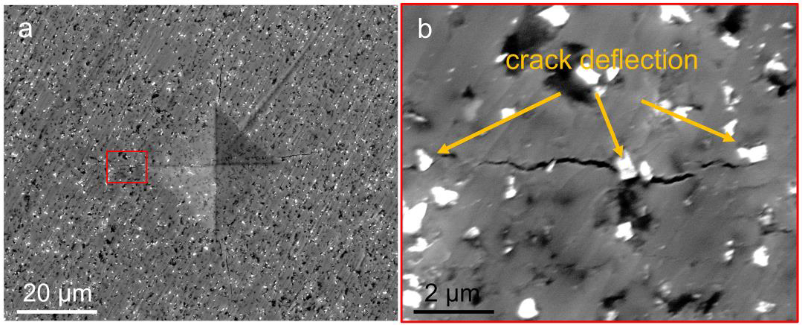 Nanomaterials 12 03733 g008