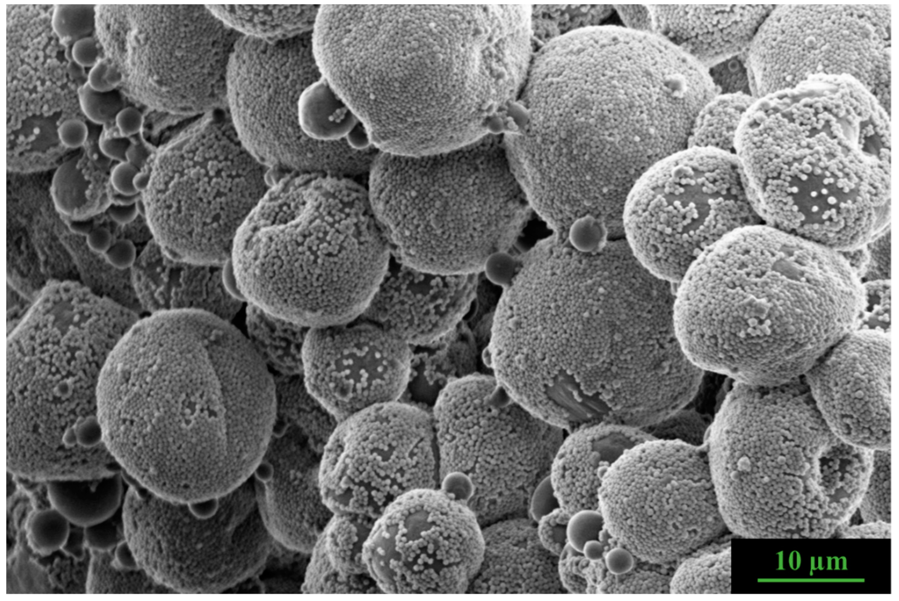 Nanomaterials 12 03738 g005 Nanomaterials 12 03738 g005