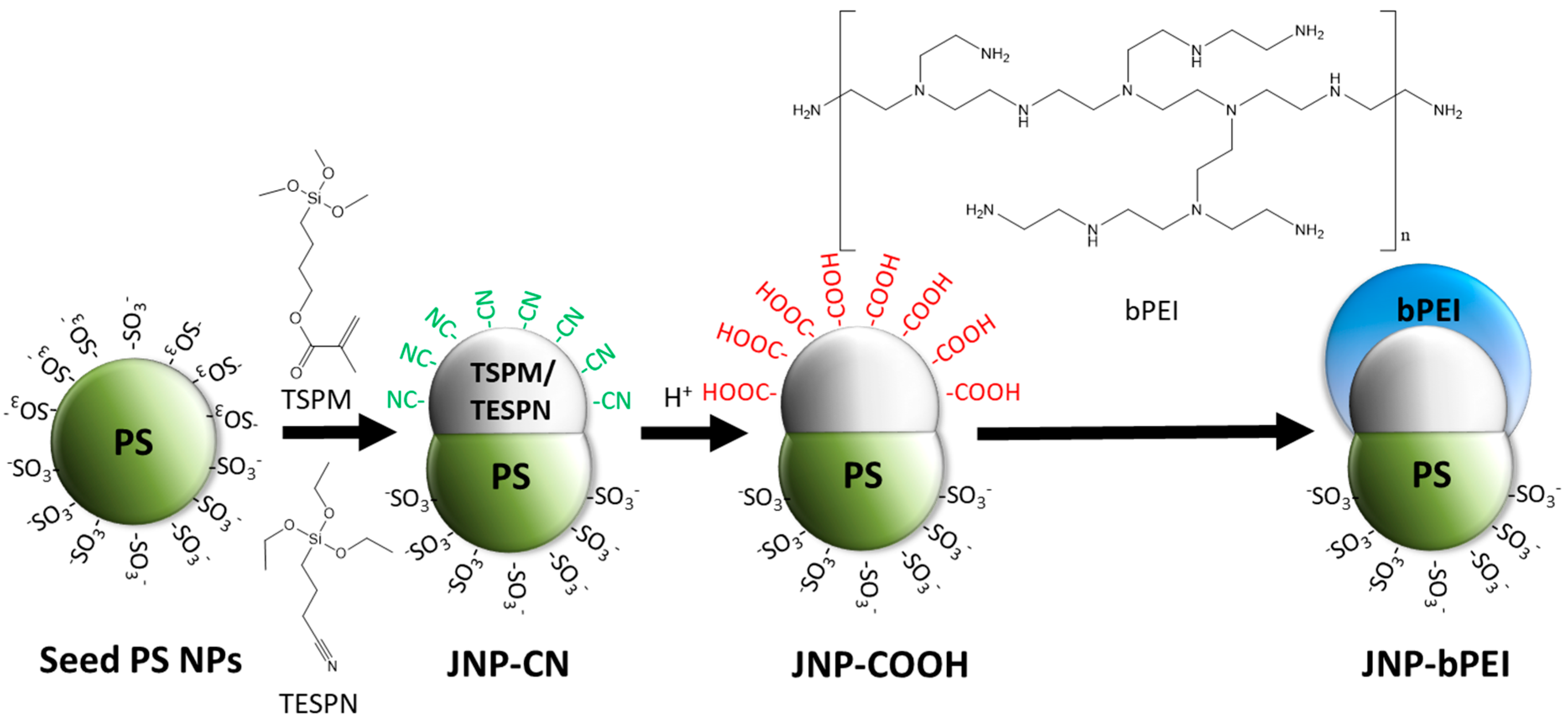 Nanomaterials 12 03738 sch002 Nanomaterials 12 03738 sch002