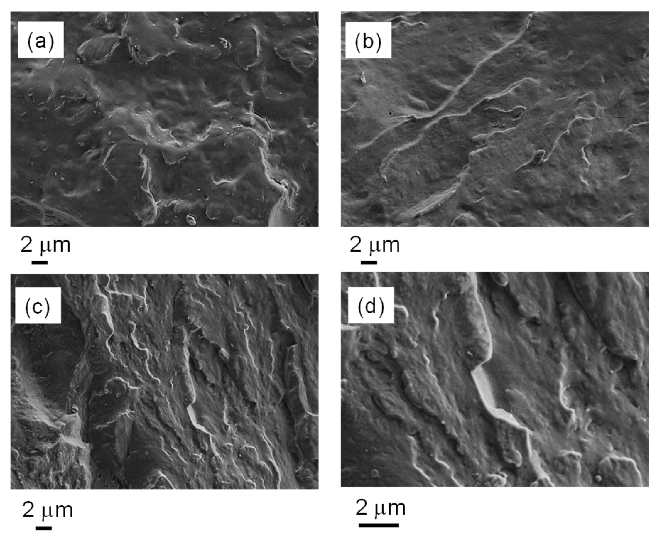 Nanomaterials 12 03744 g004