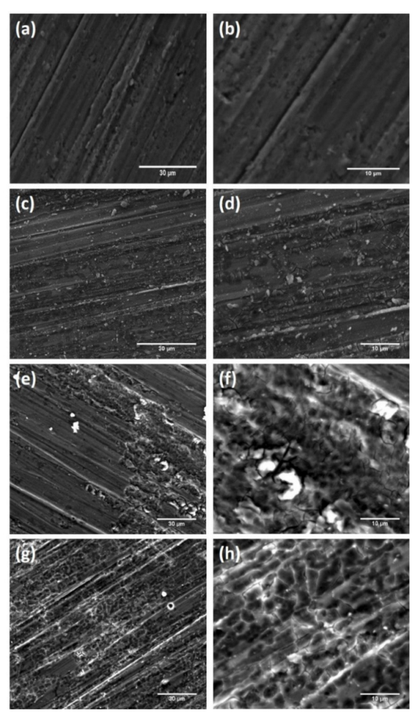 Nanomaterials 12 03745 g004