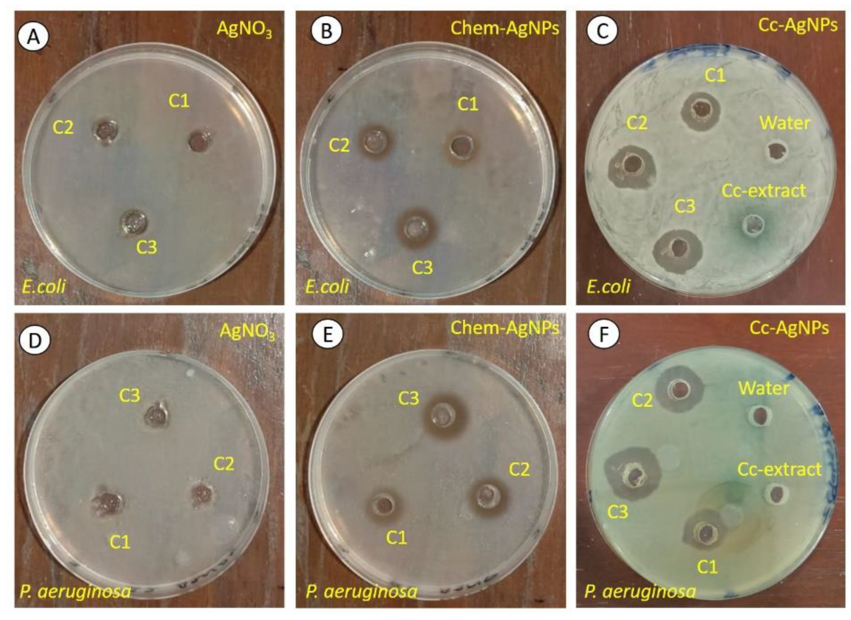 Nanomaterials 12 03781 g004