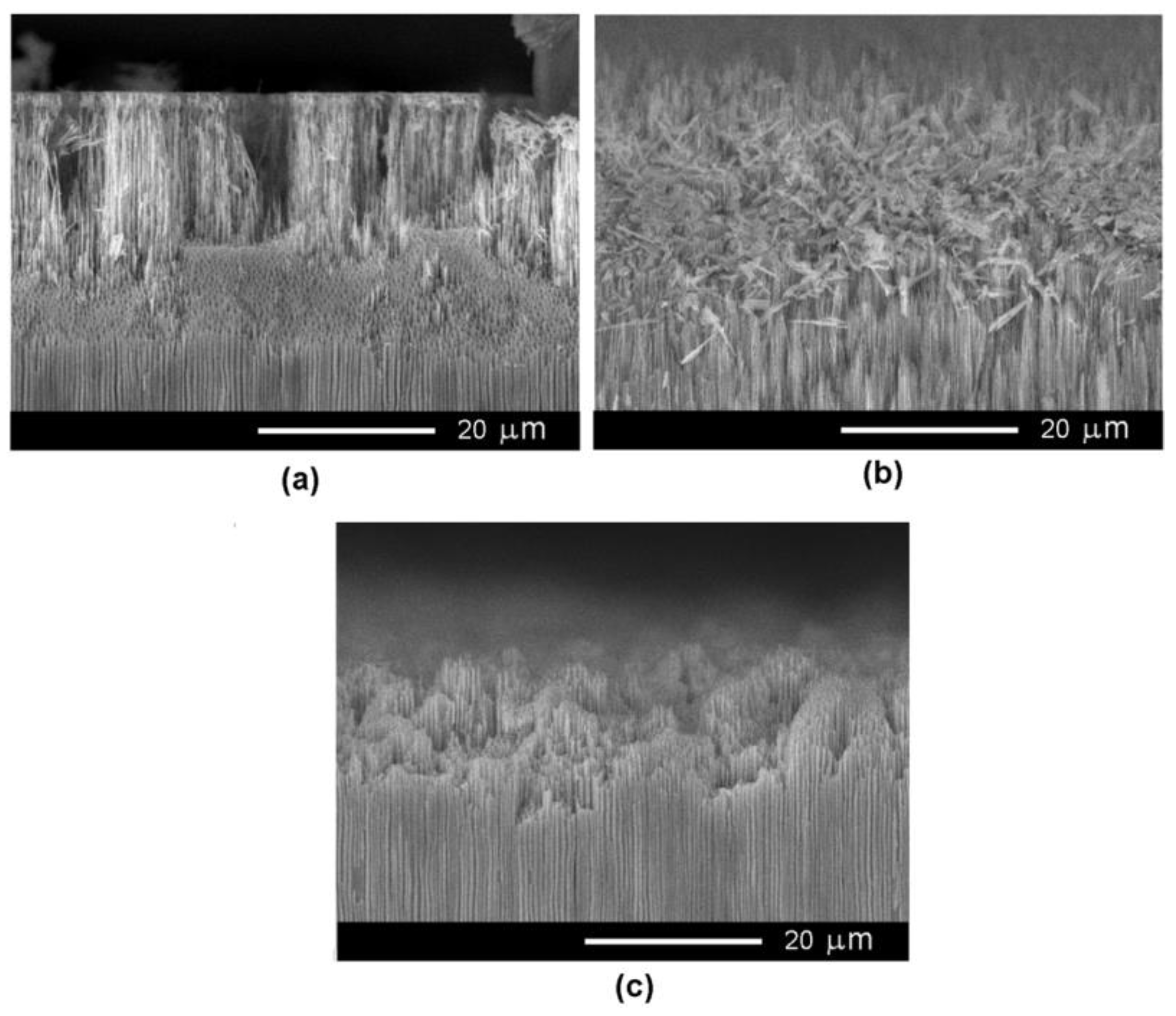 Nanomaterials 12 03787 g006 Nanomaterials 12 03787 g006