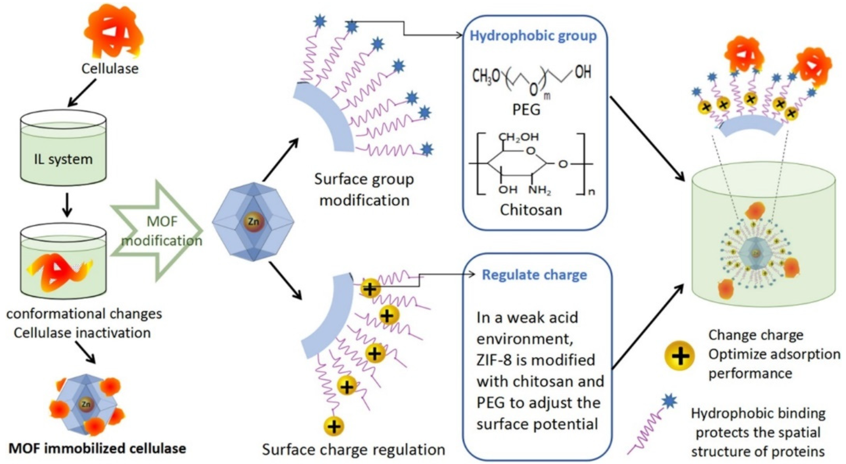 Nanomaterials 12 03796 g001