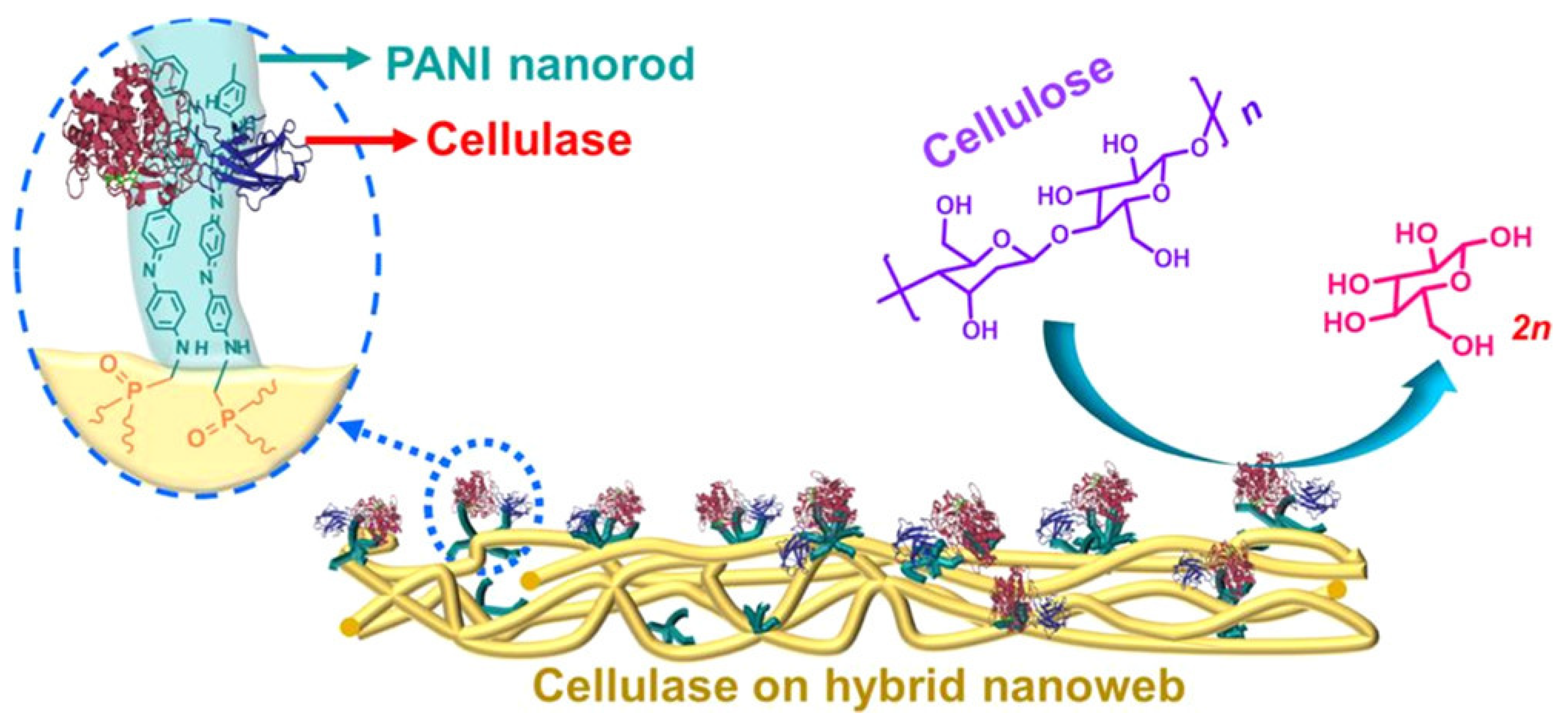Nanomaterials 12 03796 g003