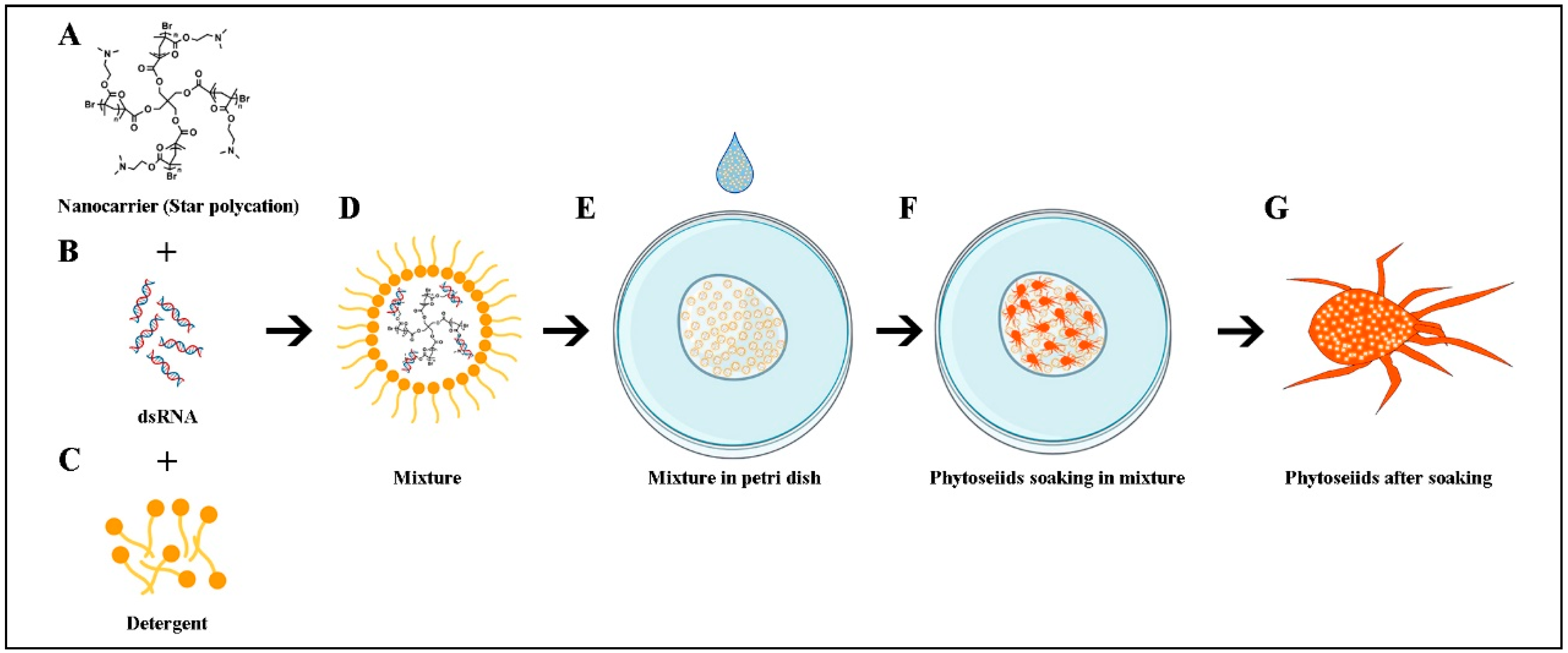 Nanomaterials 12 03809 g001