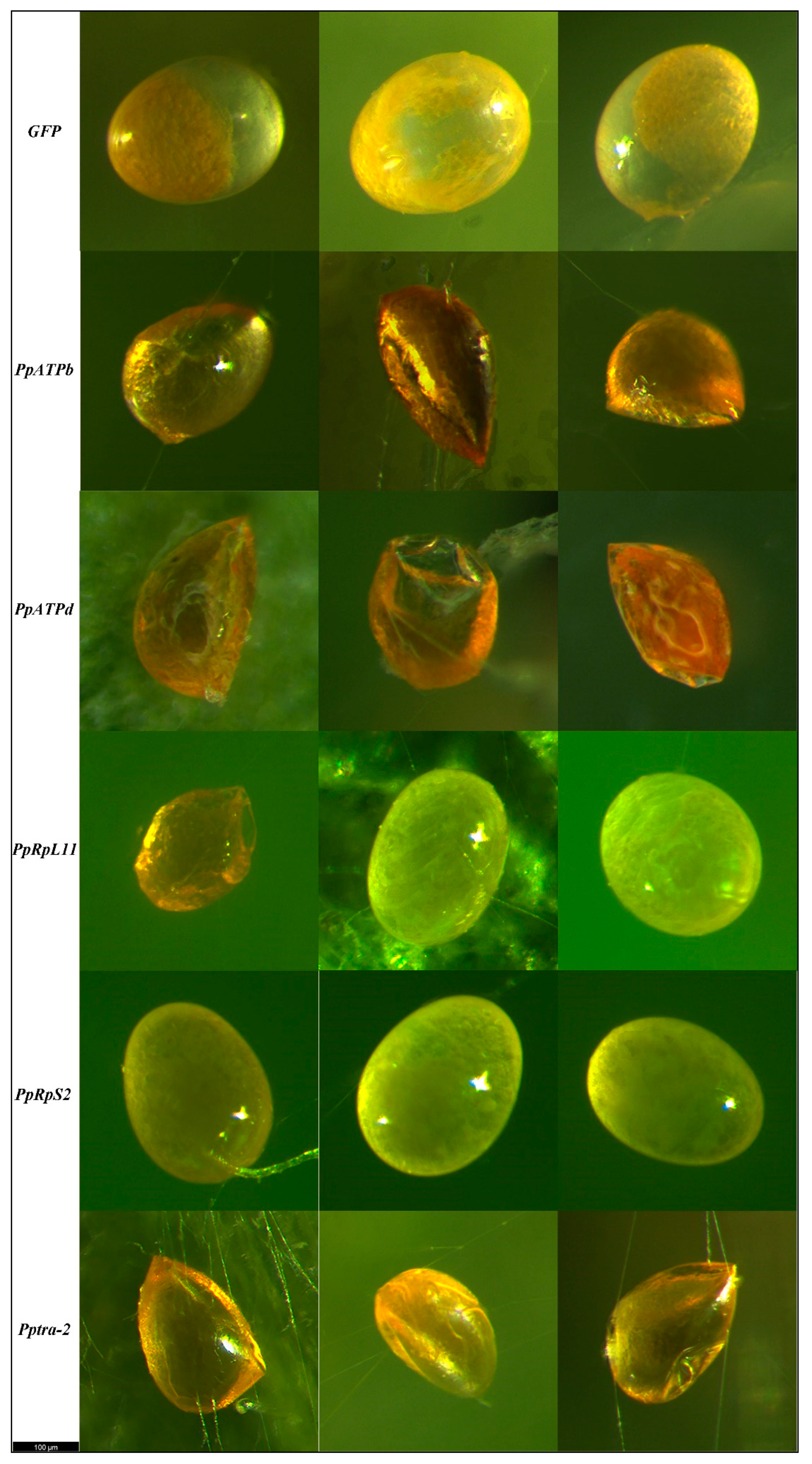 Nanomaterials 12 03809 g005