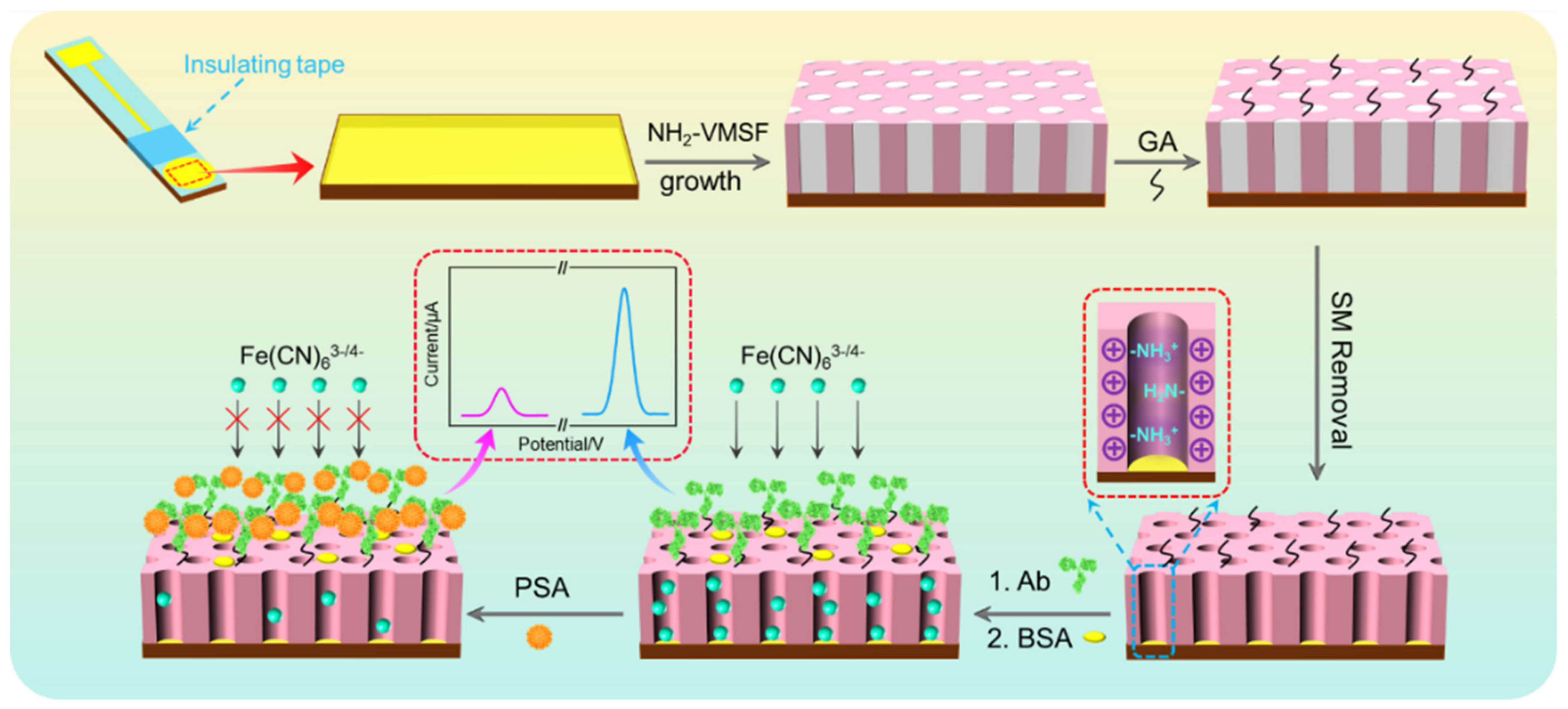 Nanomaterials | Free Full-Text | Disposal Immunosensor for Sensitive  Electrochemical Detection of Prostate-Specific Antigen Based on Amino-Rich  Nanochannels Array-Modified Patterned Indium Tin Oxide Electrode