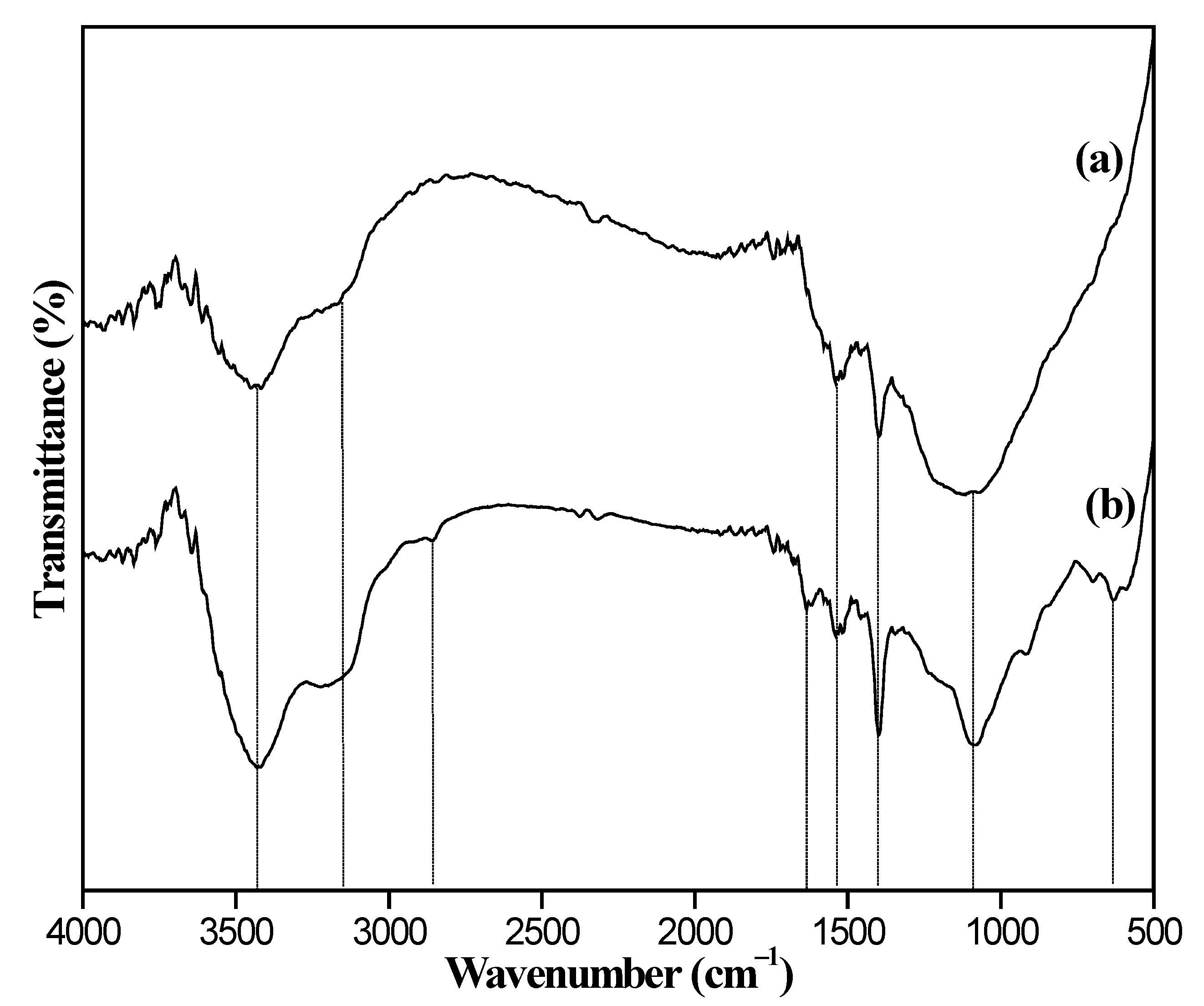 Nanomaterials 12 03815 g001