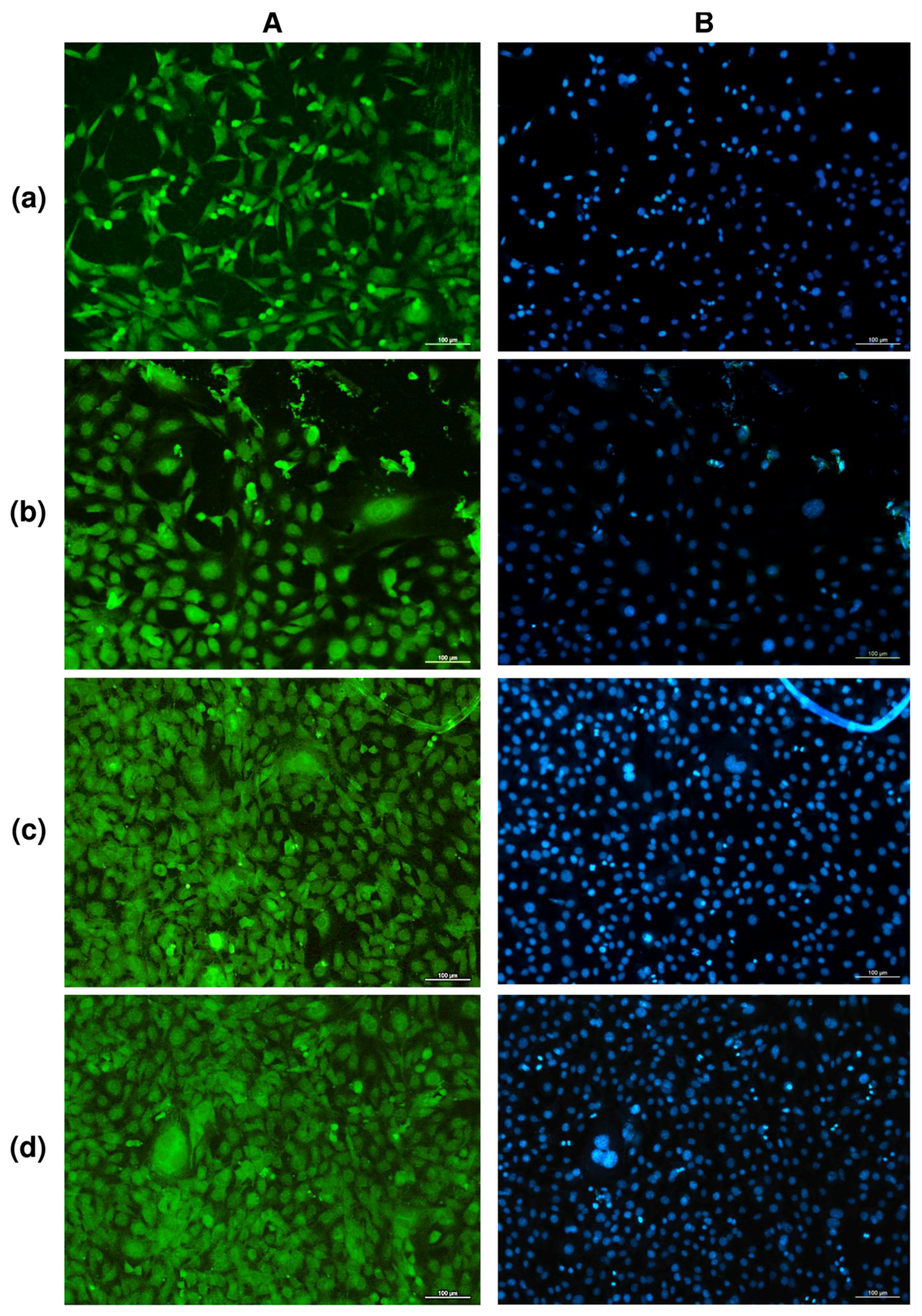 Nanomaterials 12 03843 g003 Nanomaterials 12 03843 g003