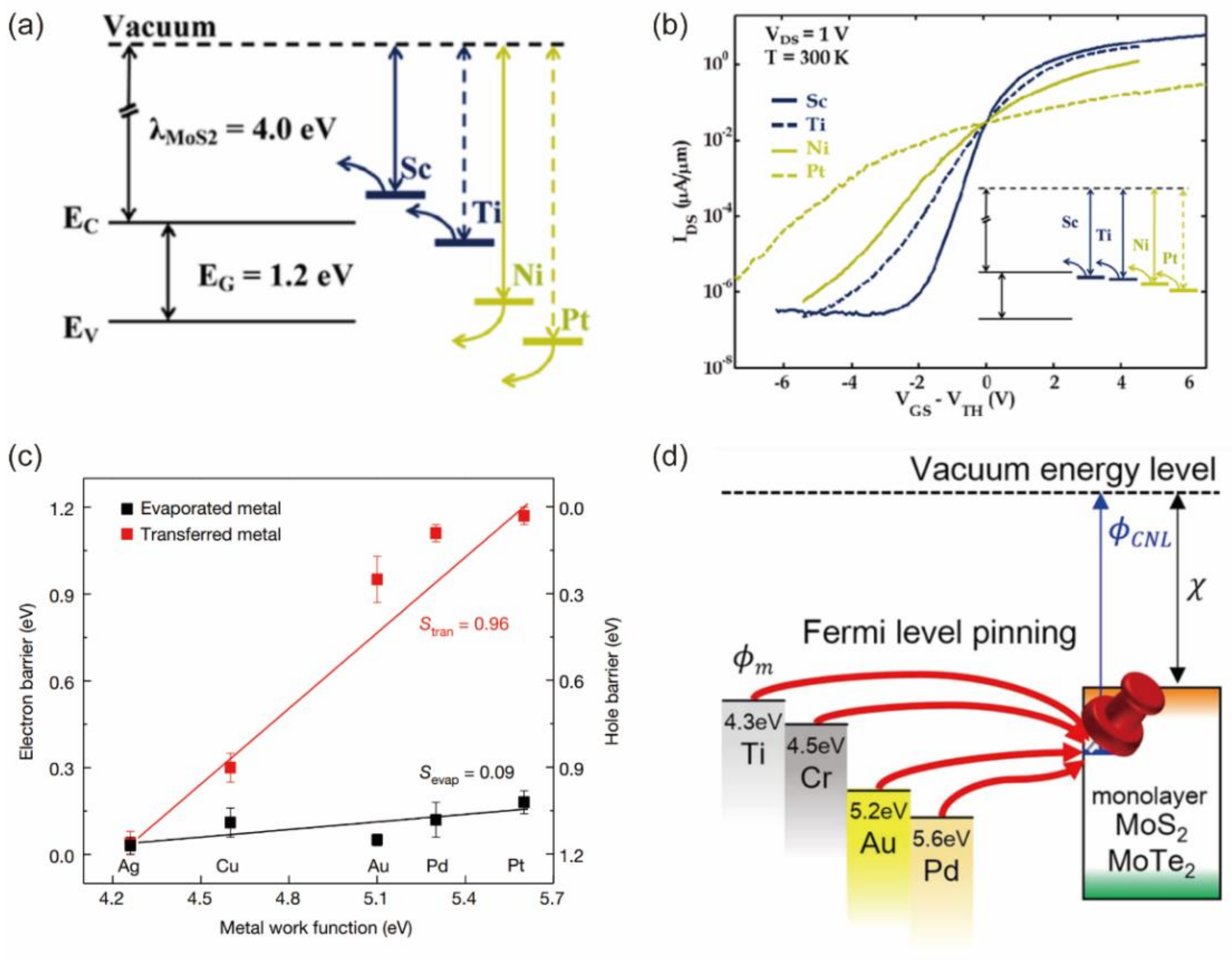 Nanomaterials 12 03845 g001 Nanomaterials 12 03845 g001