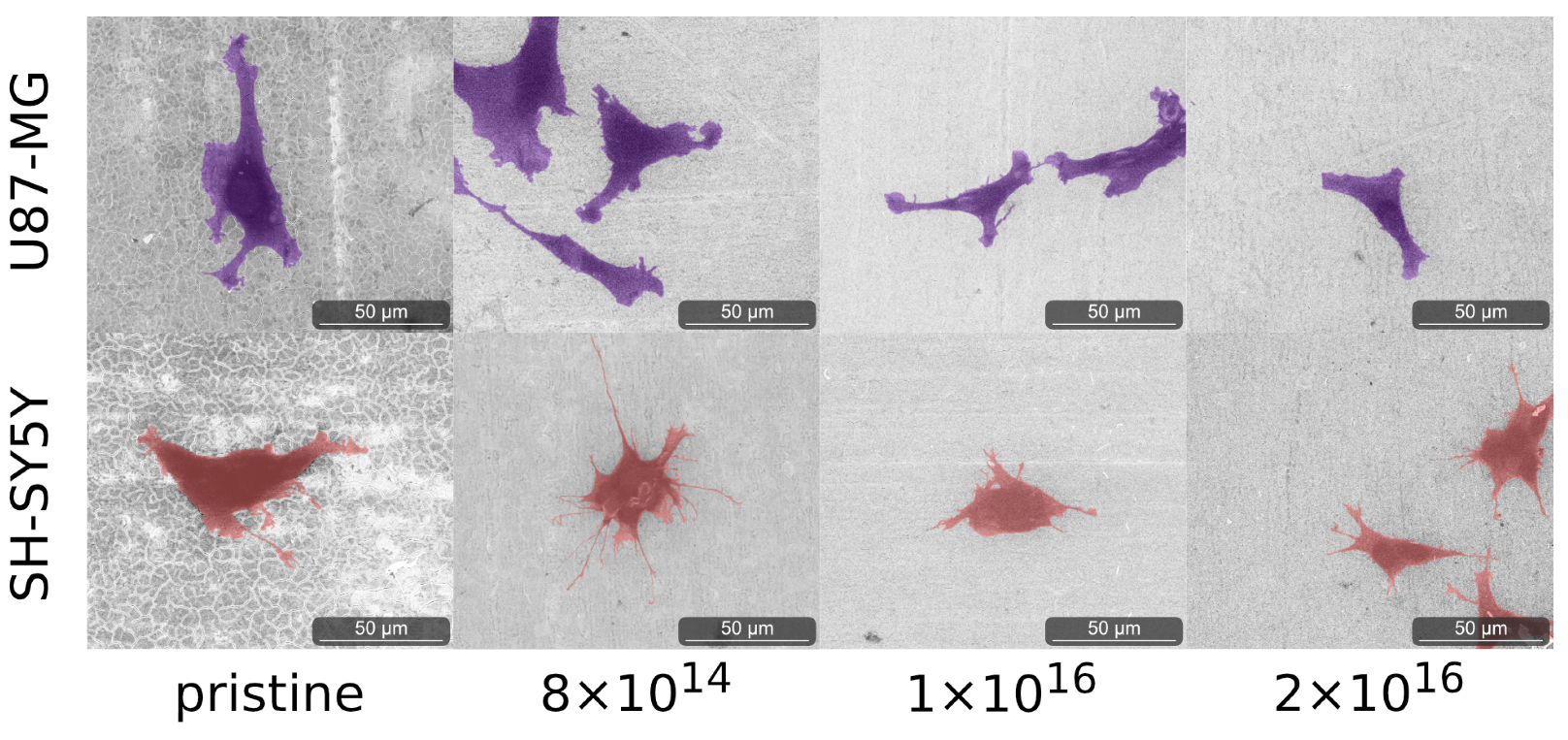 Nanomaterials 12 03858 g005