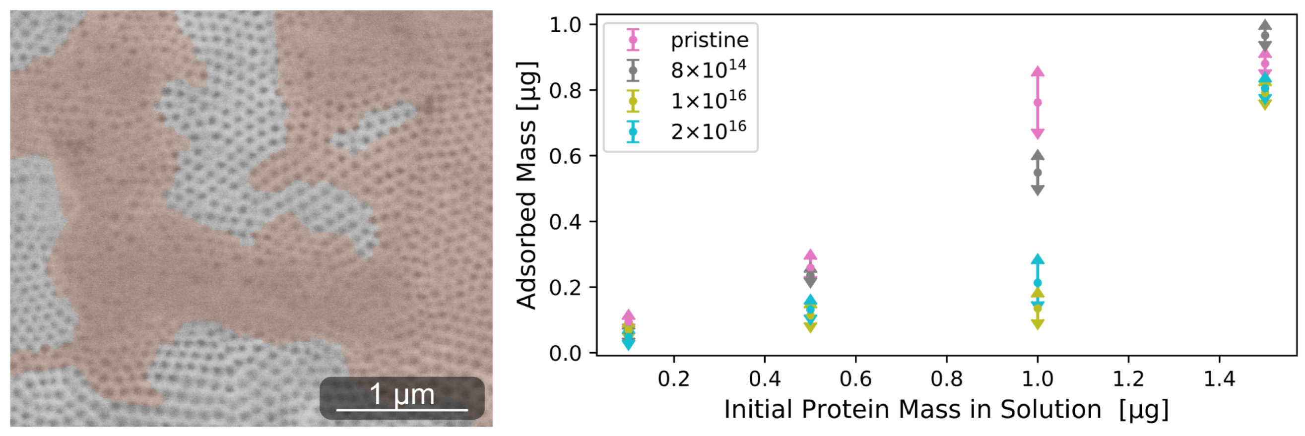 Nanomaterials 12 03858 g0a3