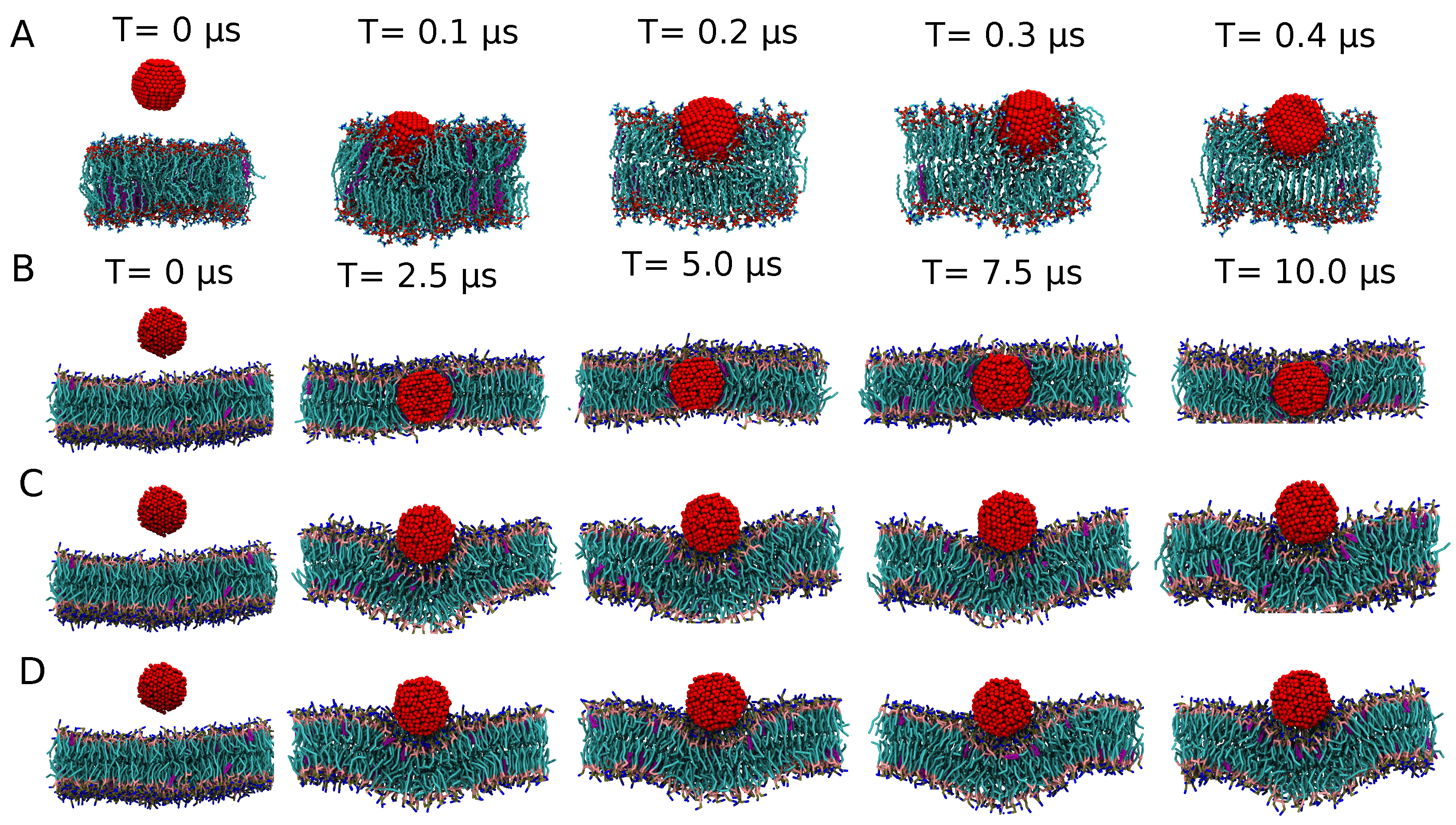 Nanomaterials 12 03859 g003