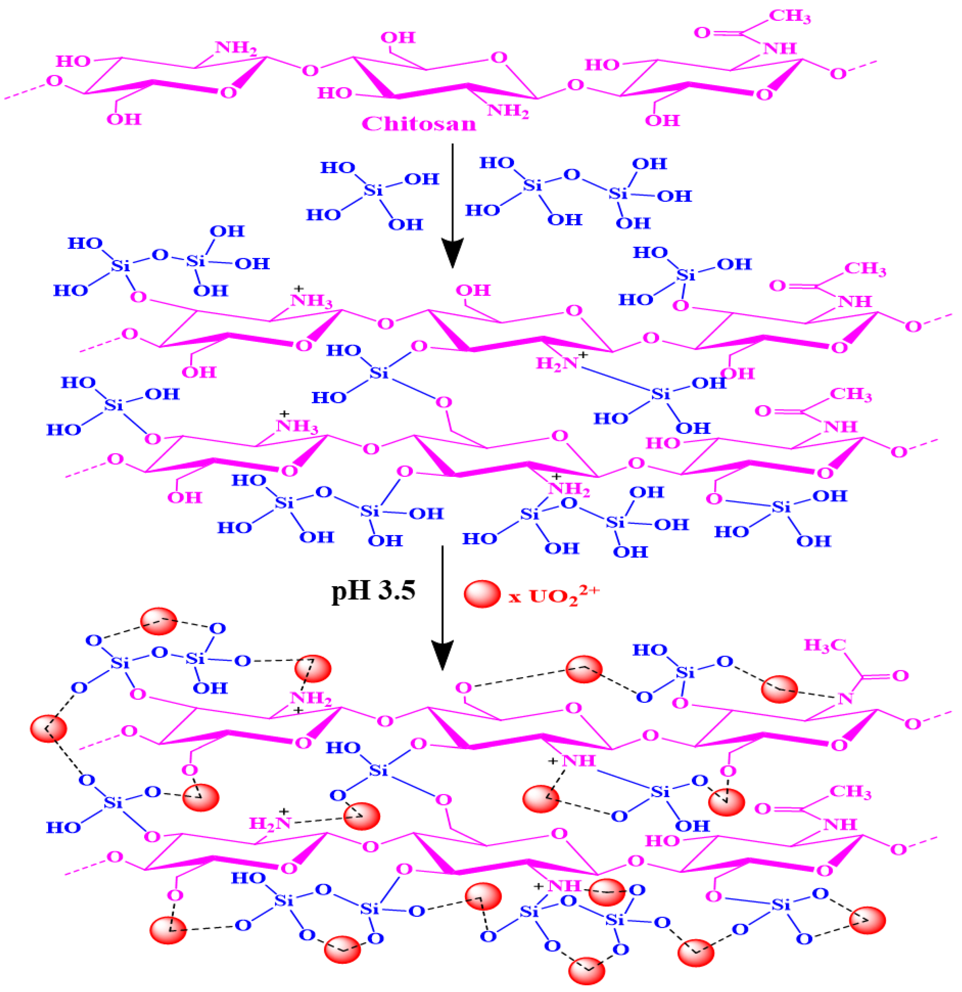 Nanomaterials 12 03866 g008