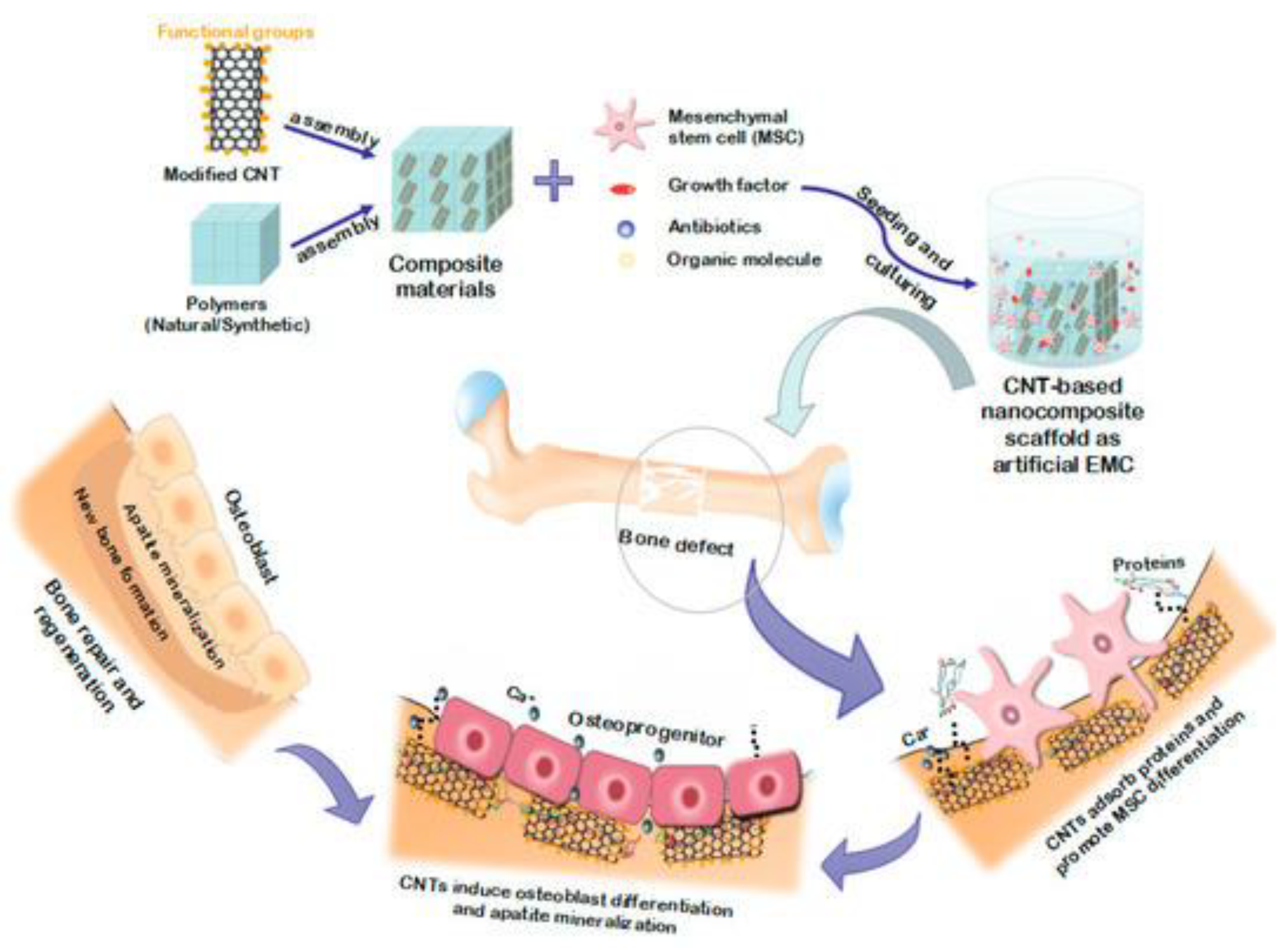 Nanomaterials 12 03873 g009