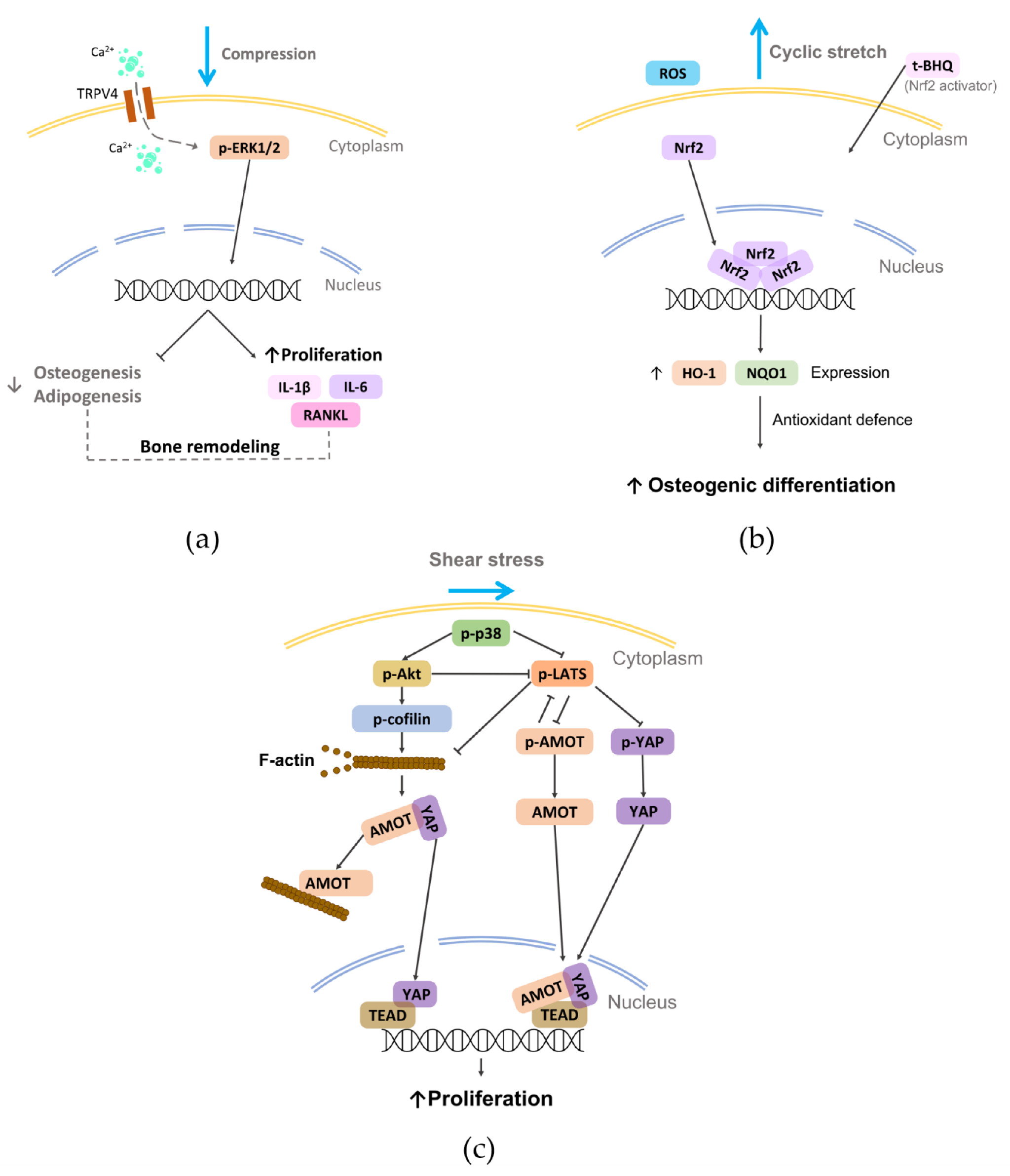 Nanomaterials 12 03878 g006 550