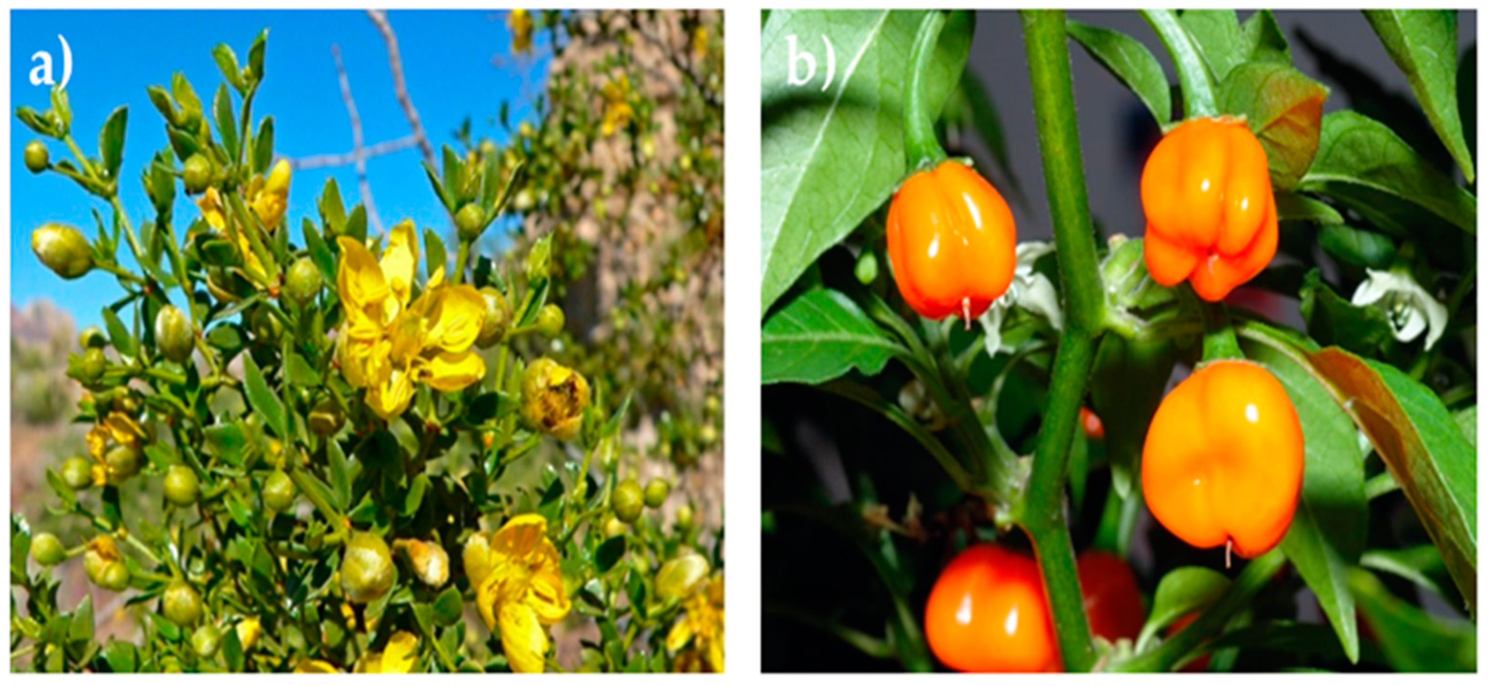 Nanomaterials 12 03882 g003 Nanomaterials 12 03882 g003