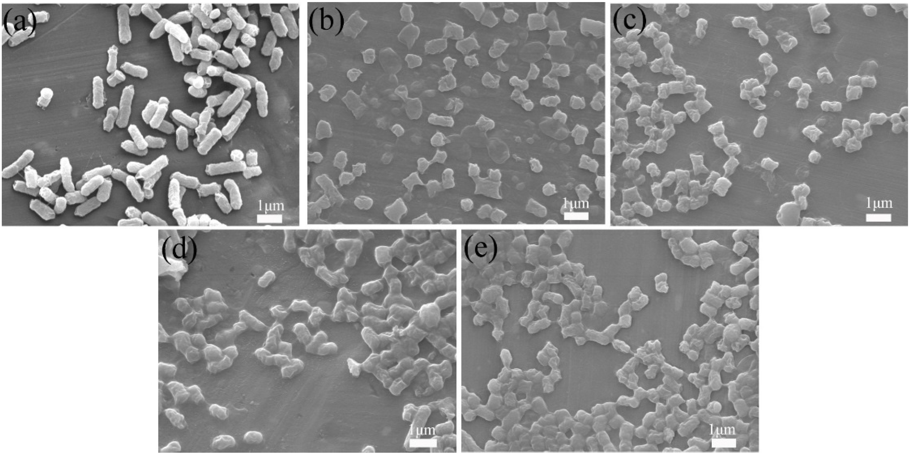 Nanomaterials 12 03901 g009 Nanomaterials 12 03901 g009
