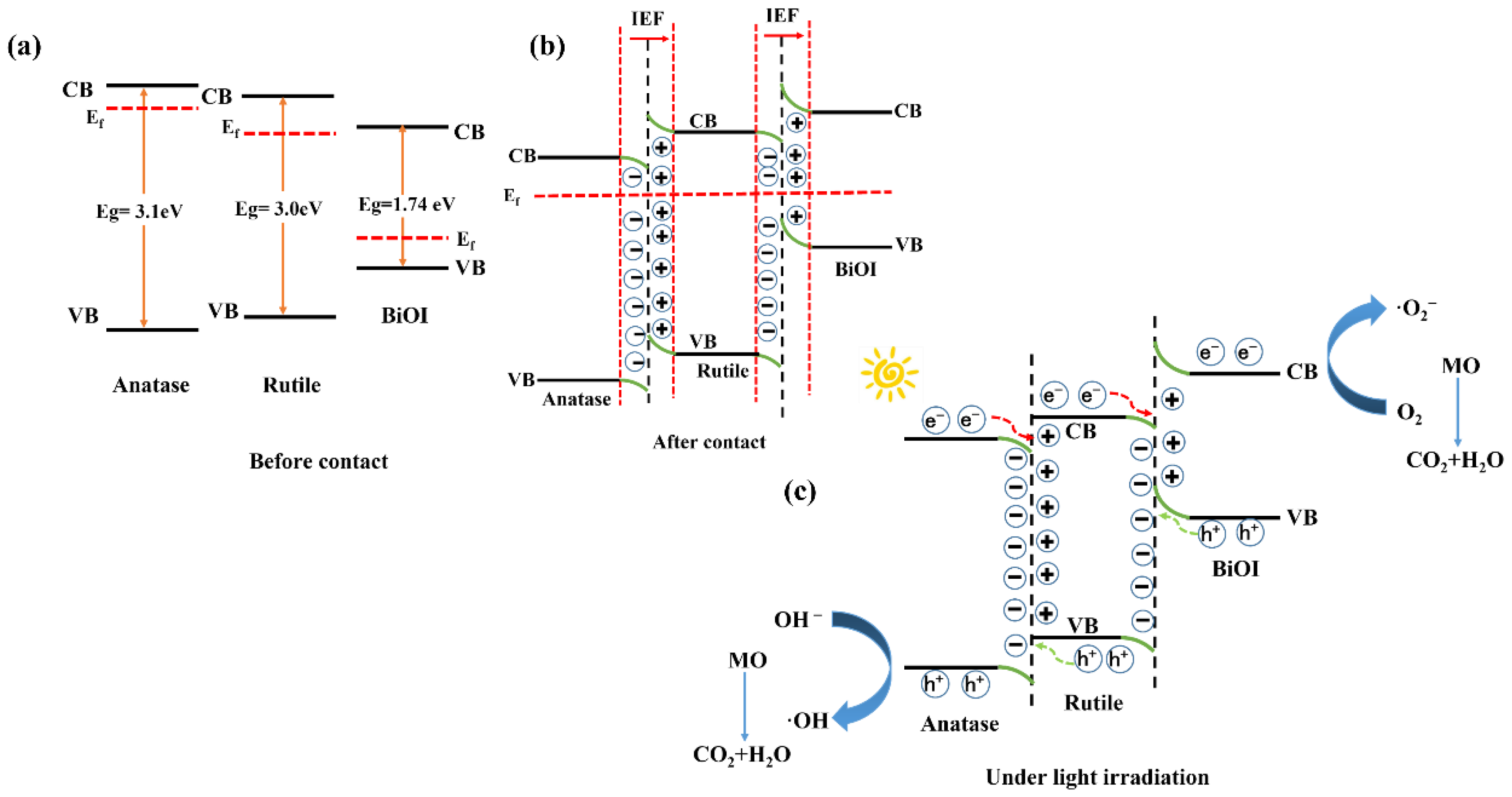 Nanomaterials 12 03906 g012