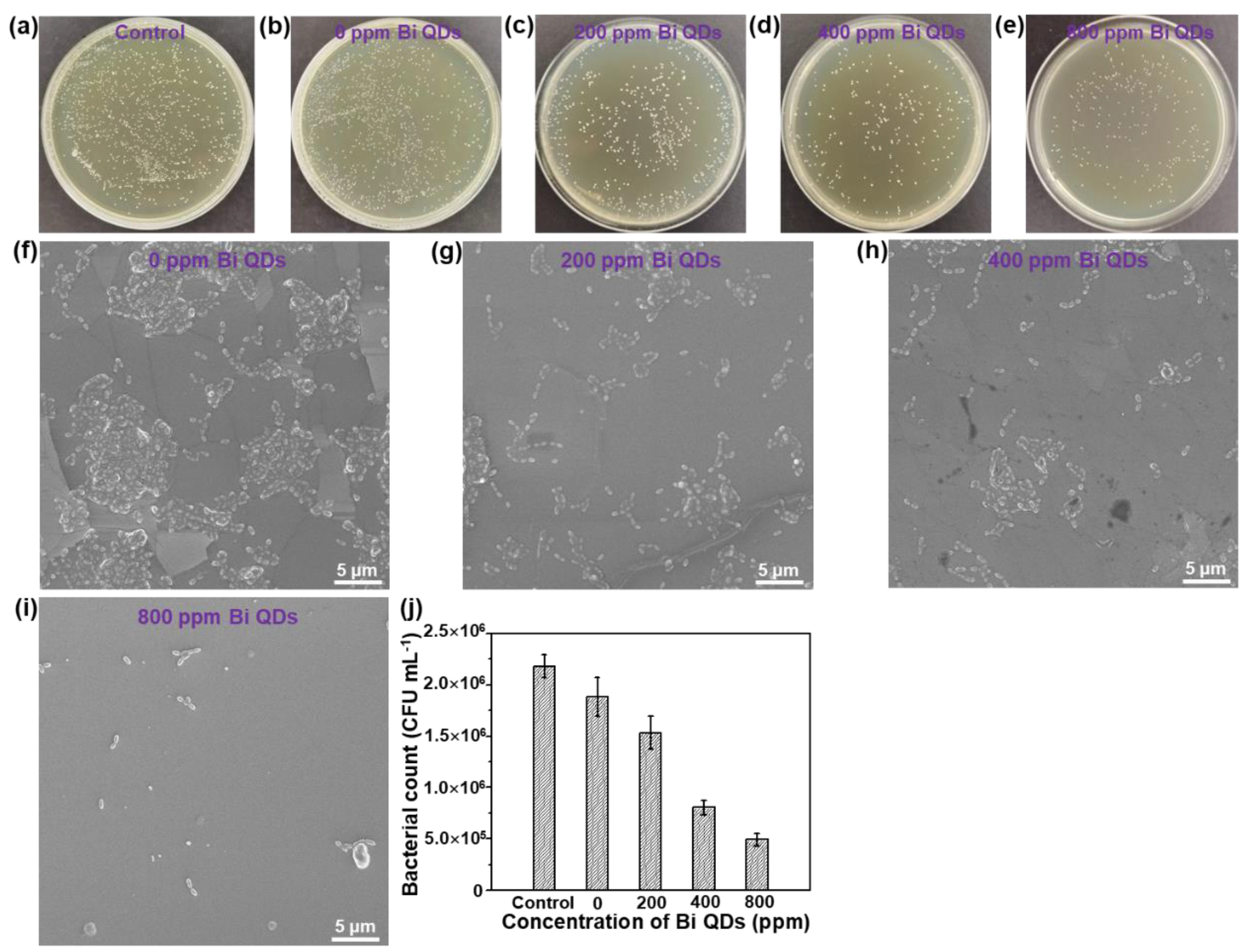 Nanomaterials 12 03911 g005 Nanomaterials 12 03911 g005