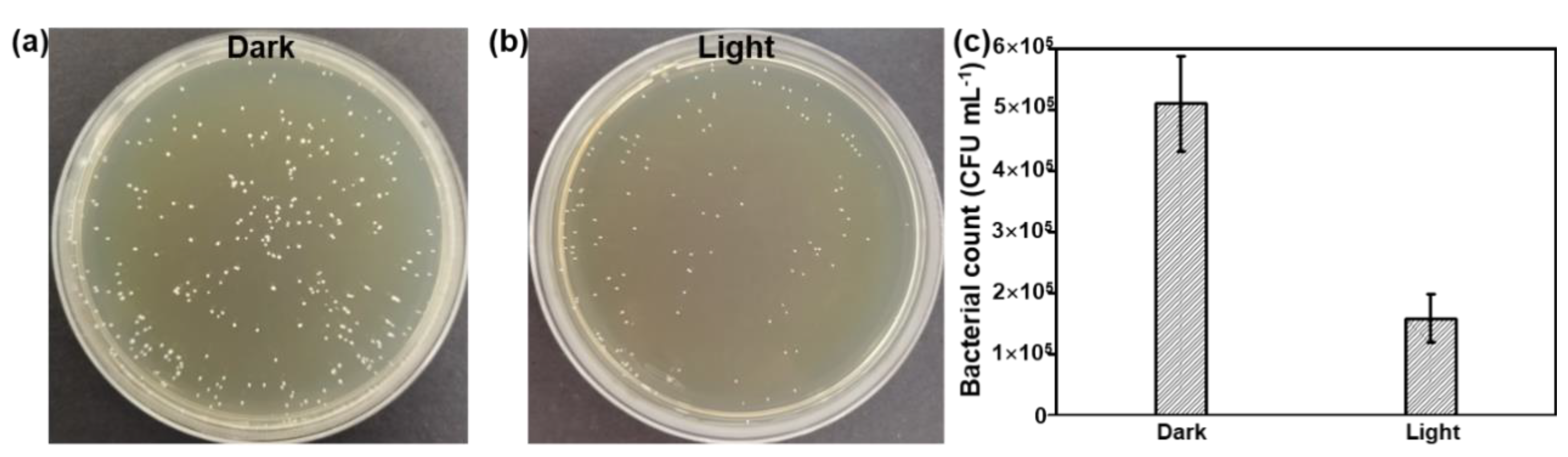 Nanomaterials 12 03911 g006 Nanomaterials 12 03911 g006