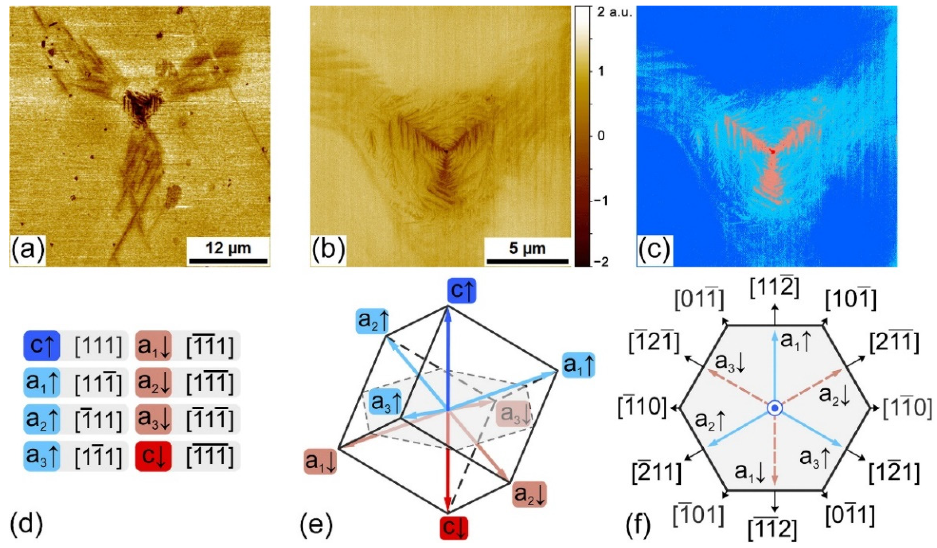 Nanomaterials 12 03912 g001